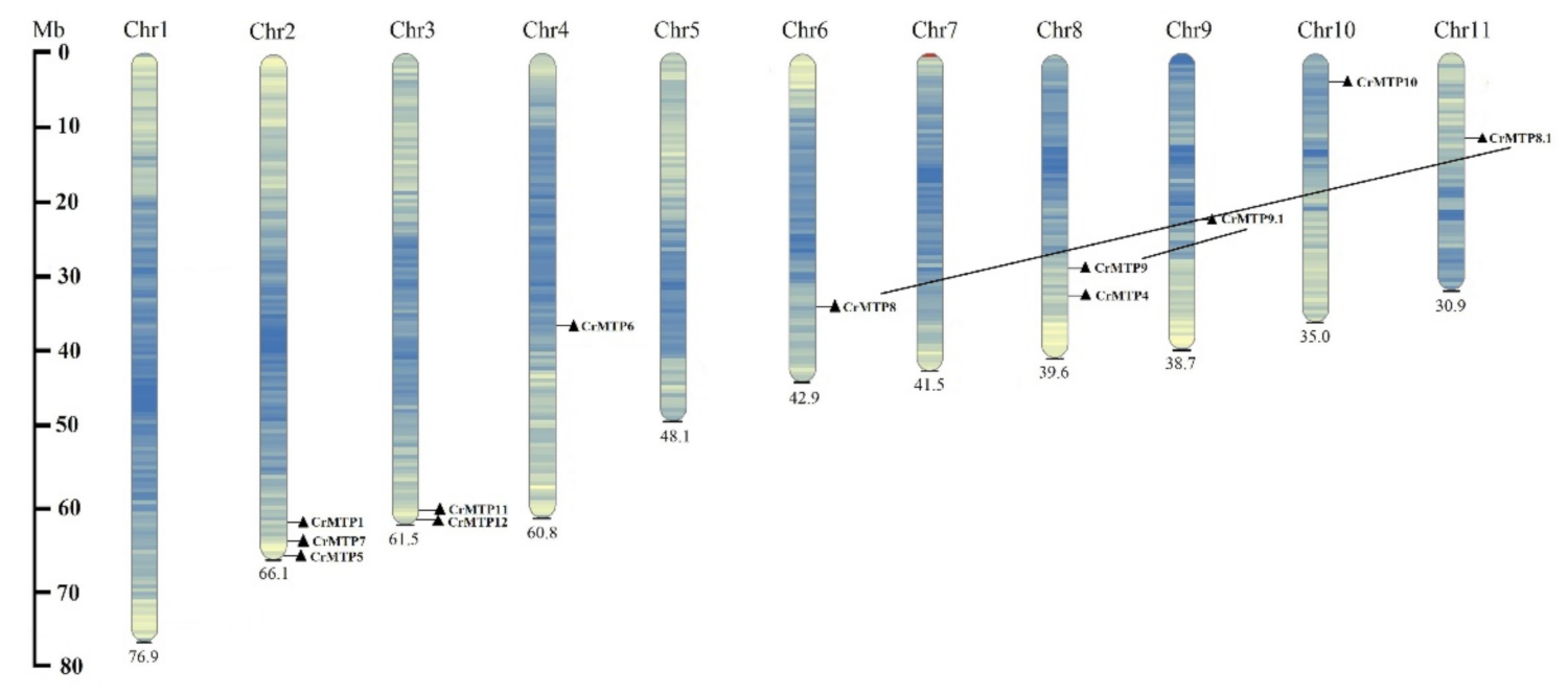 Plants 10 01340 g002