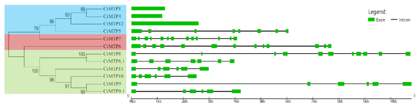 Plants 10 01340 g004