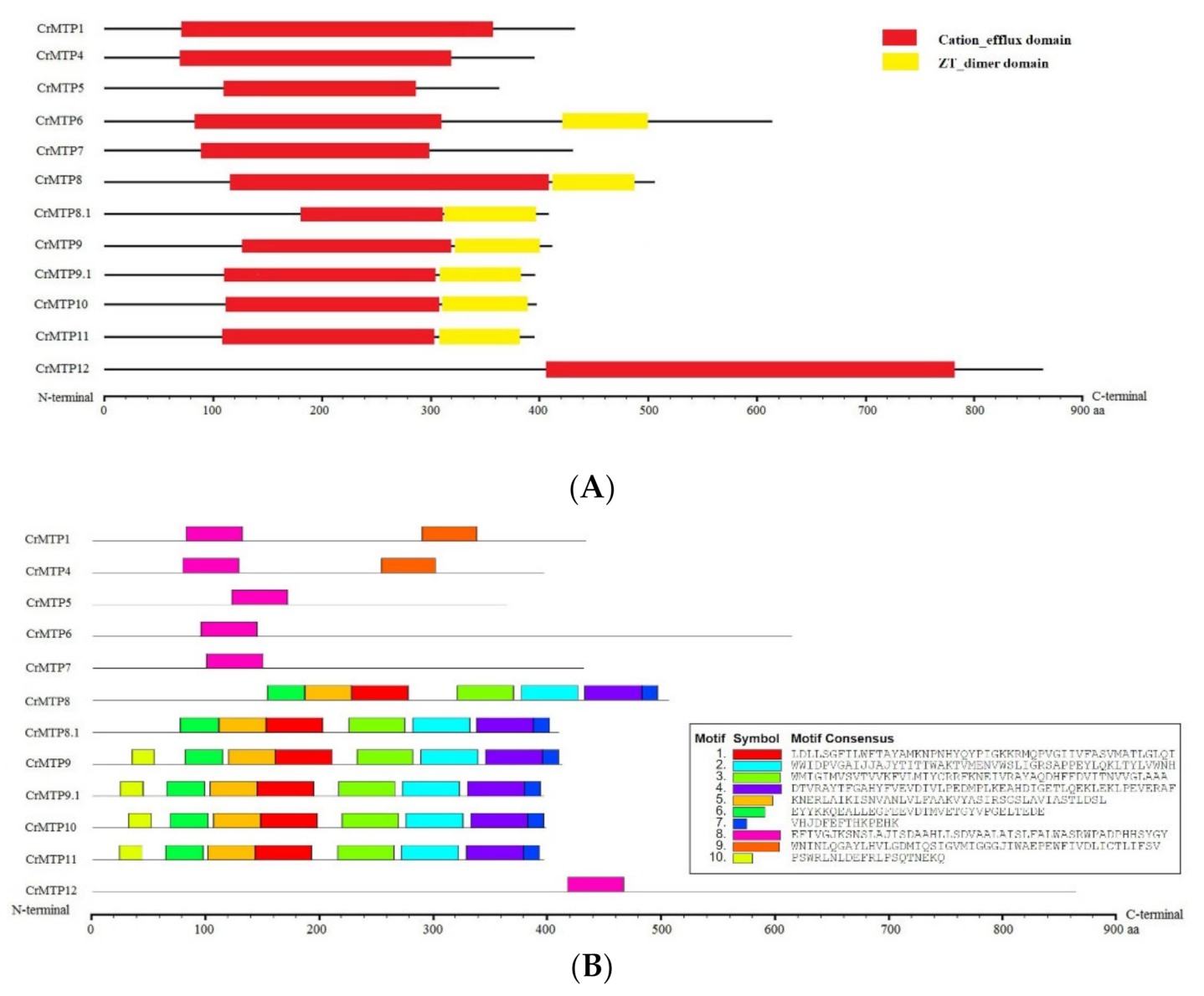 Plants 10 01340 g005