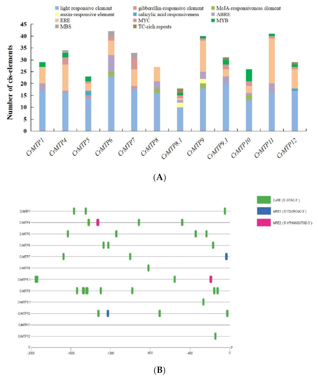 Plants 10 01340 g006
