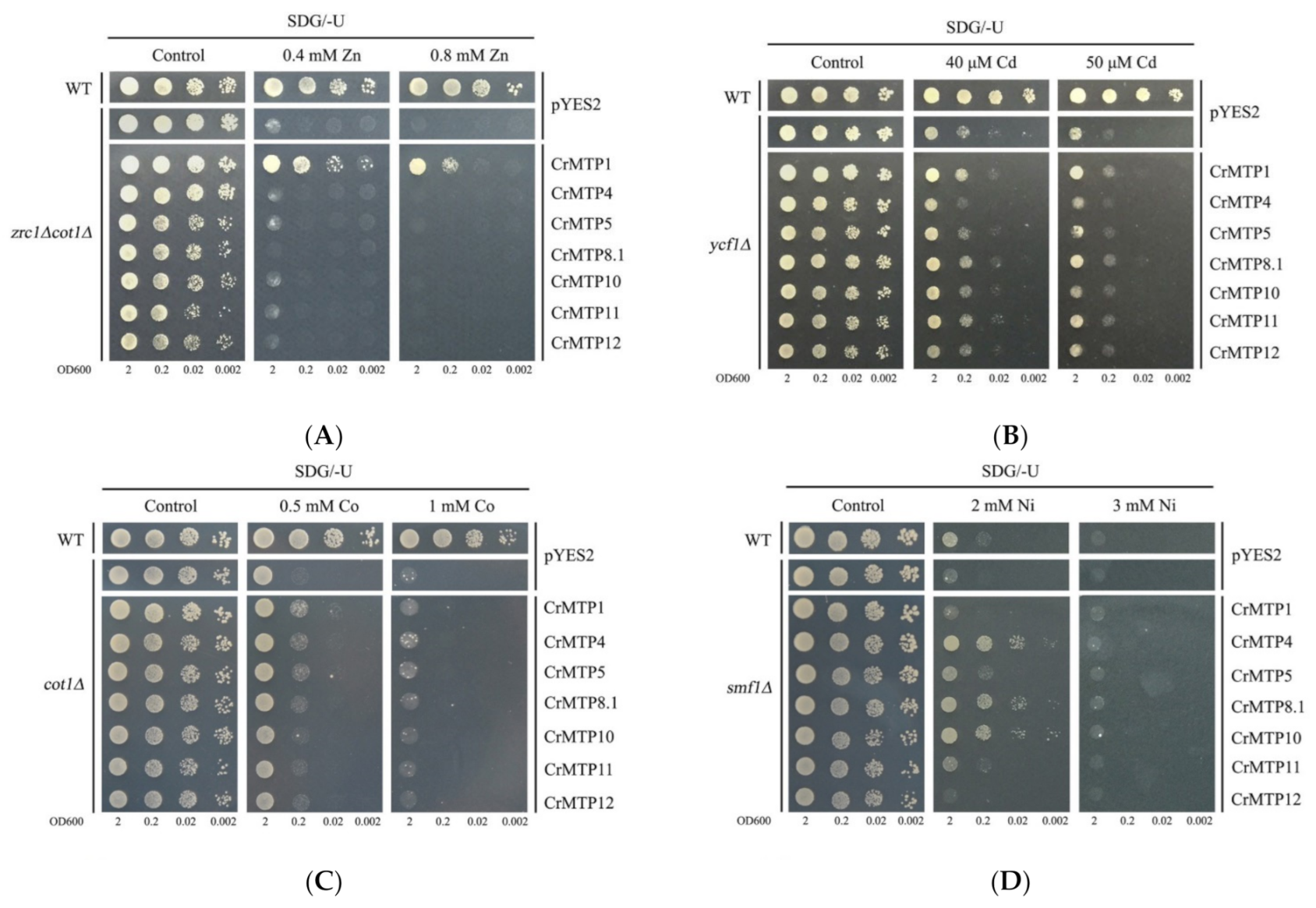 Plants 10 01340 g010a