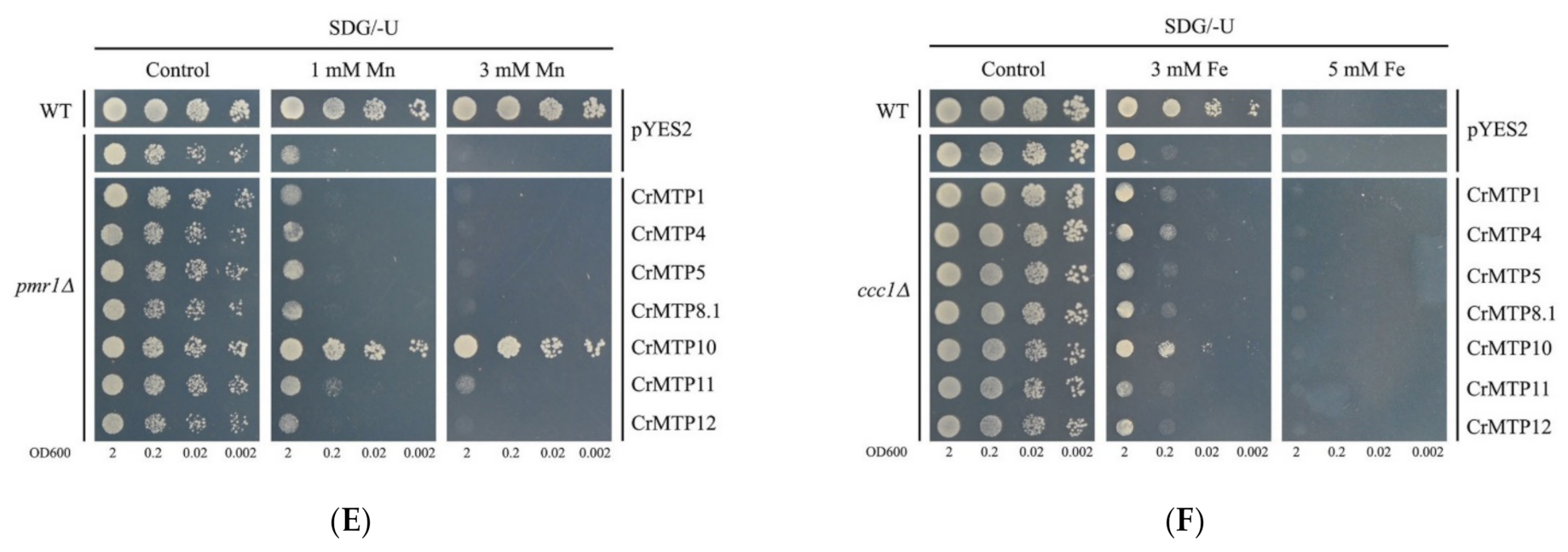 Plants 10 01340 g010b