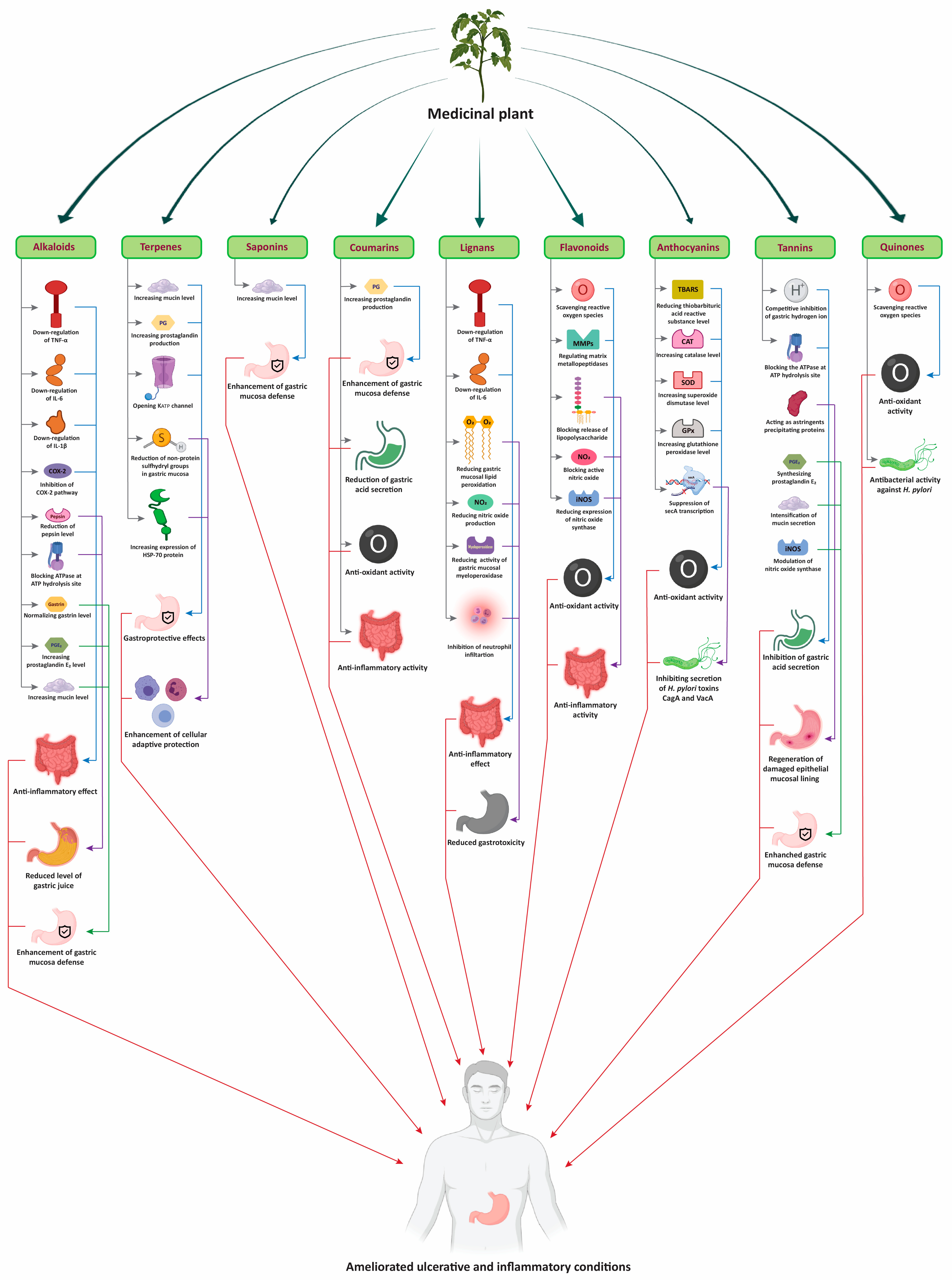 Plants 10 01348 g002
