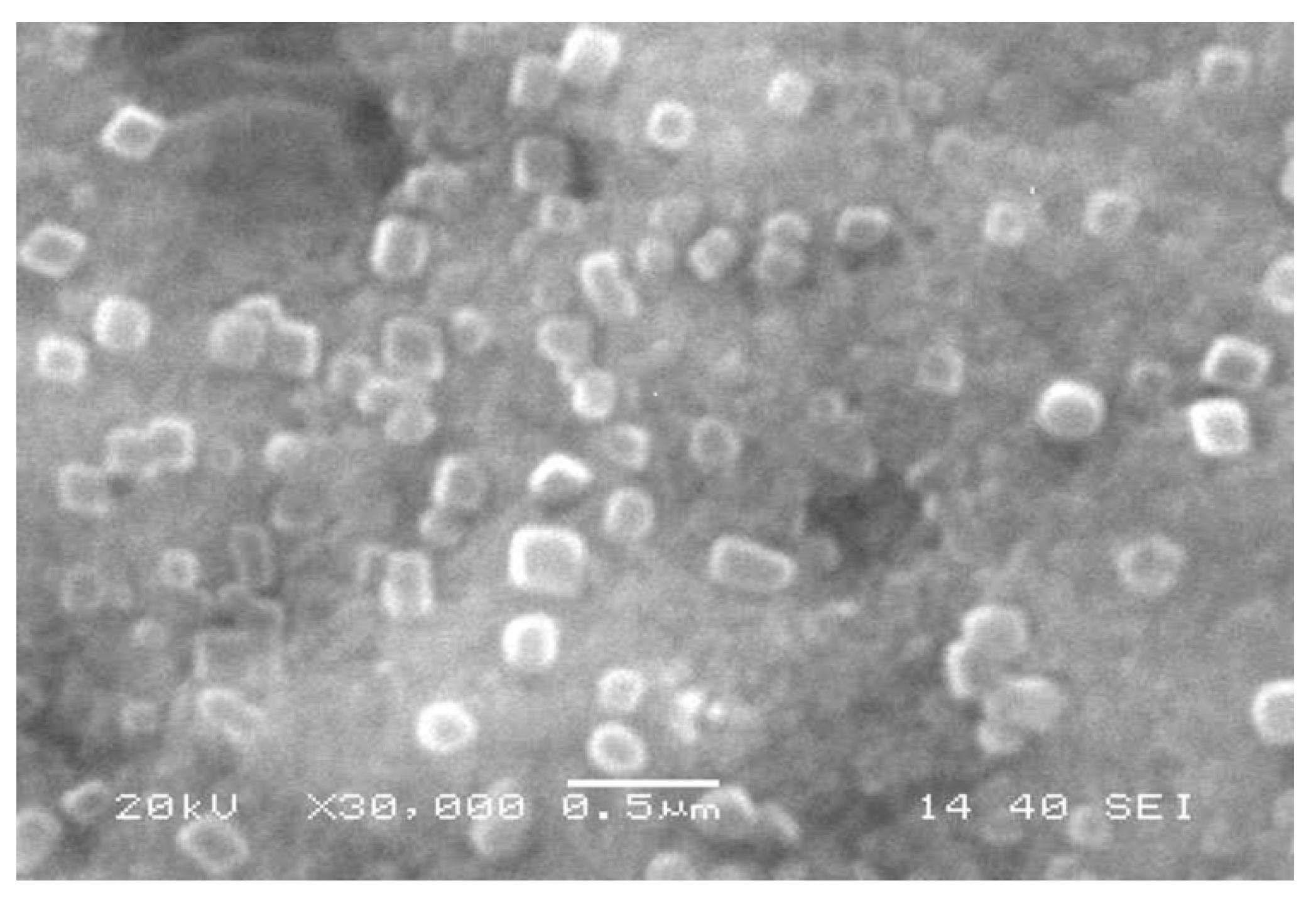 Plants 10 01349 g003