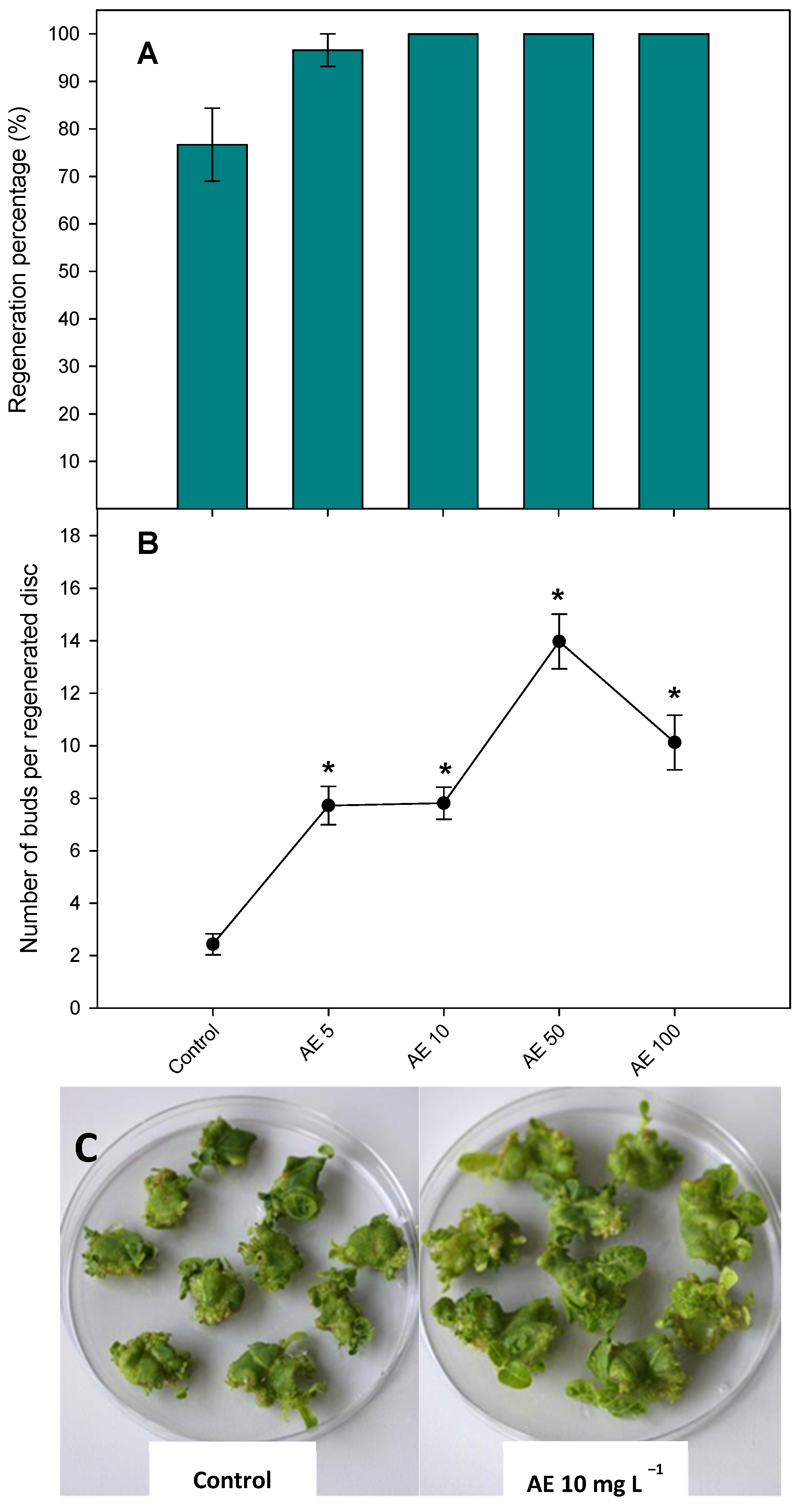 Plants 10 01354 g001 550
