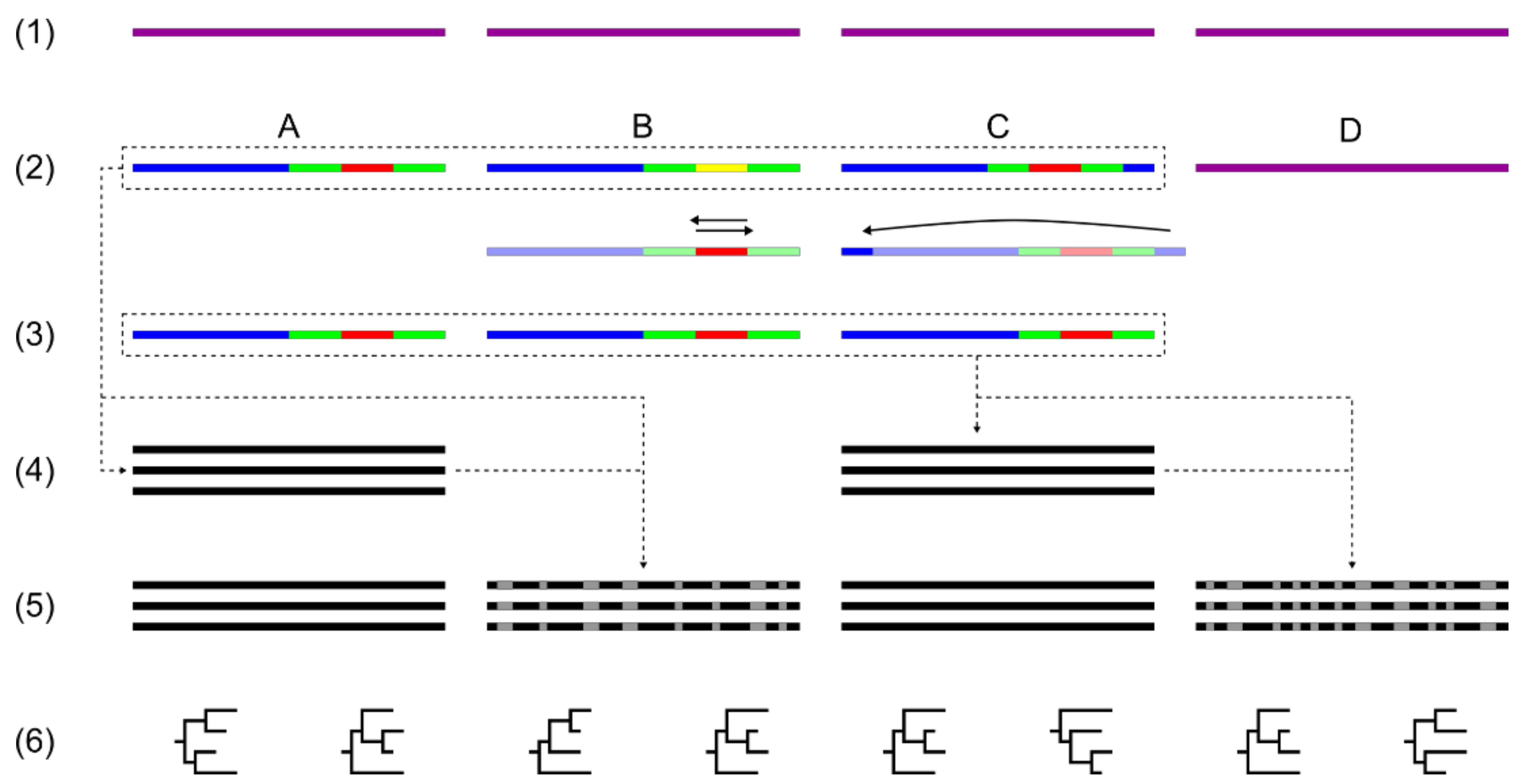Plants 10 01360 g003 550