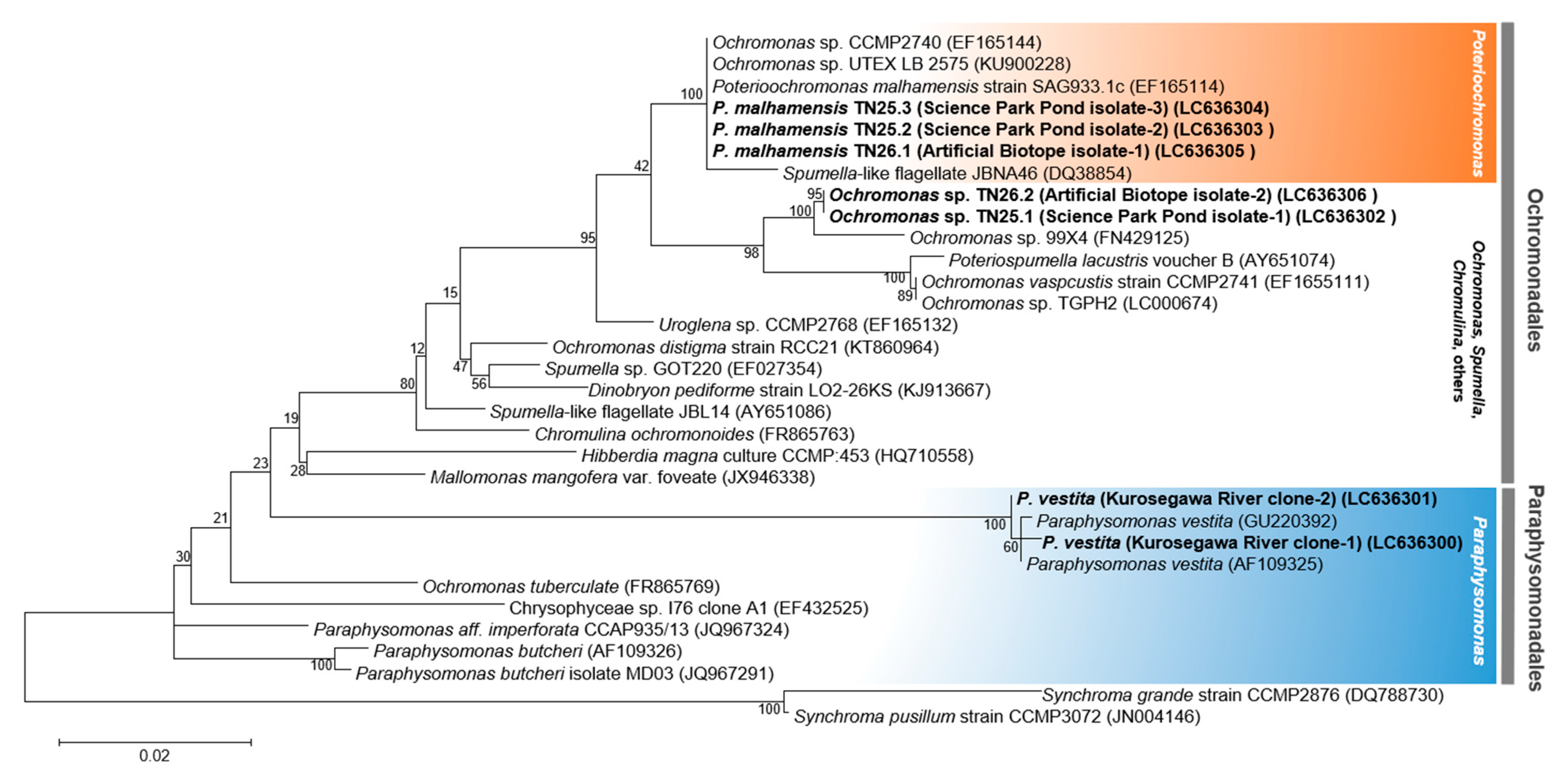Plants 10 01361 g002 550