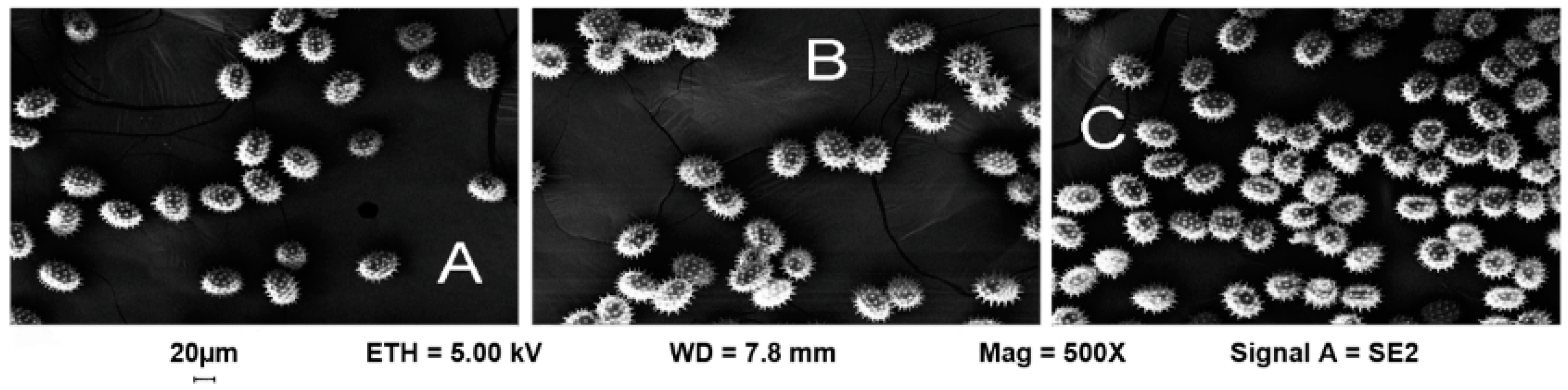 Plants 10 01364 g001 Plants 10 01364 g001