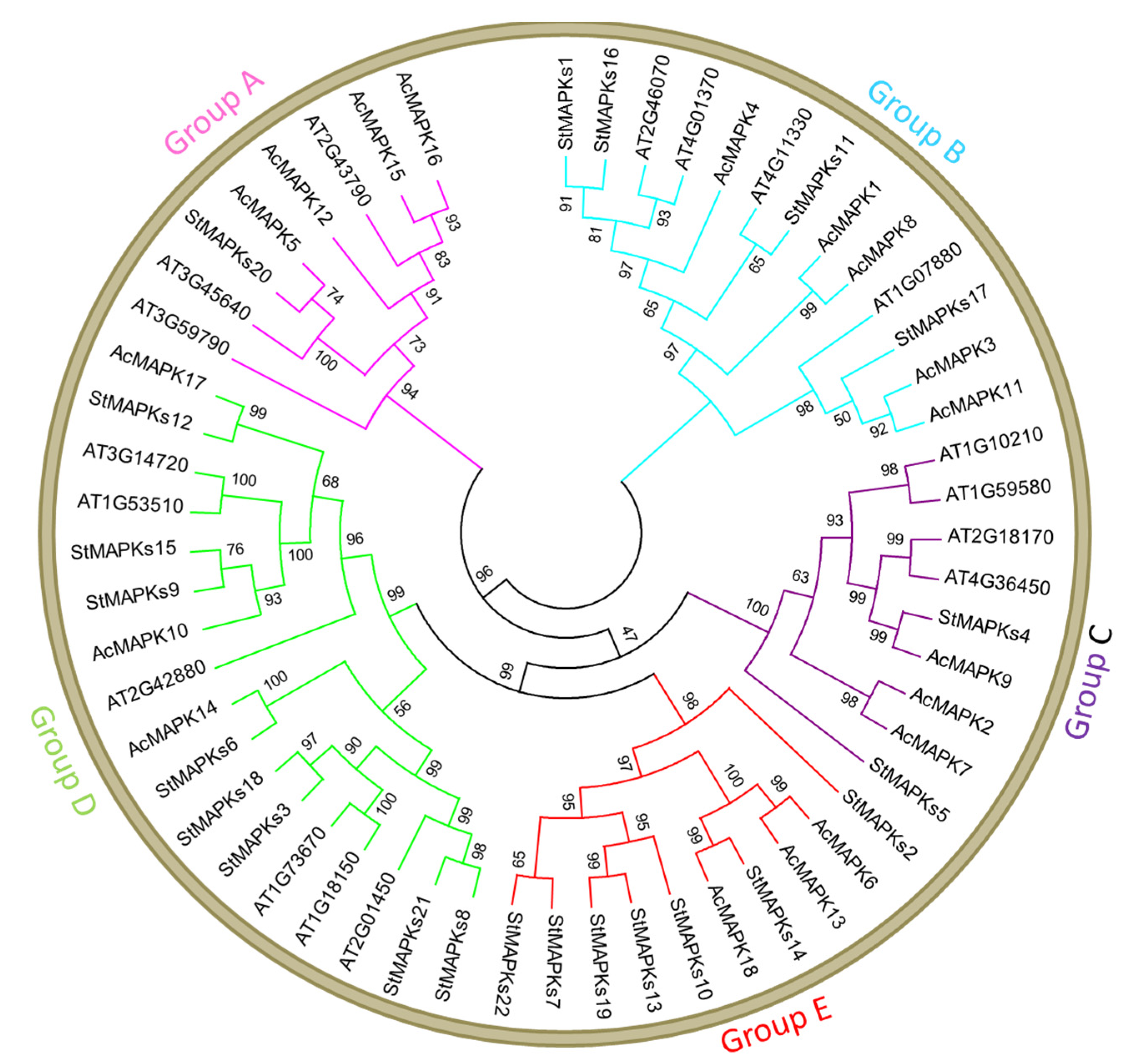 Plants 10 01371 g002 550