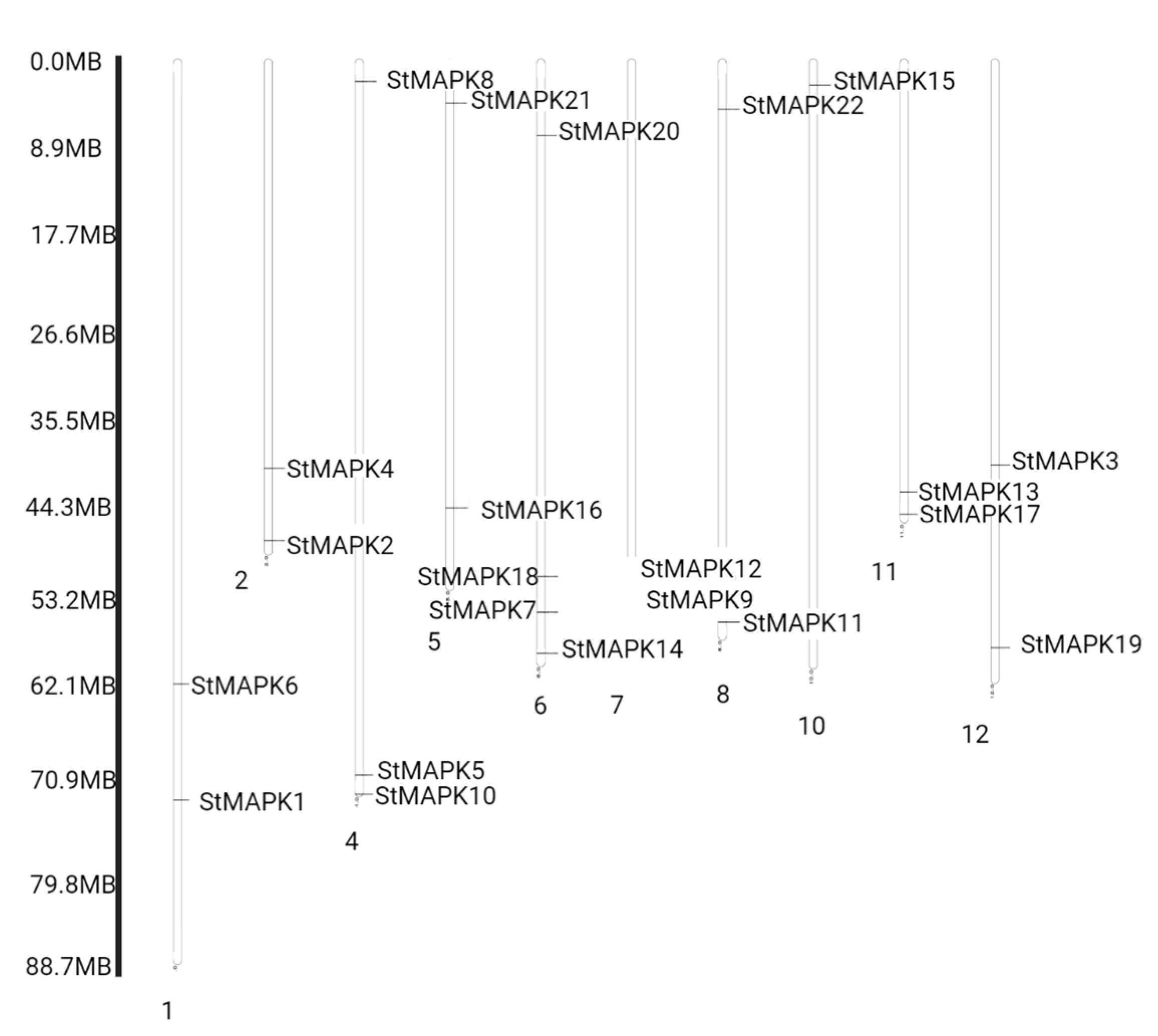 Plants 10 01371 g005 550