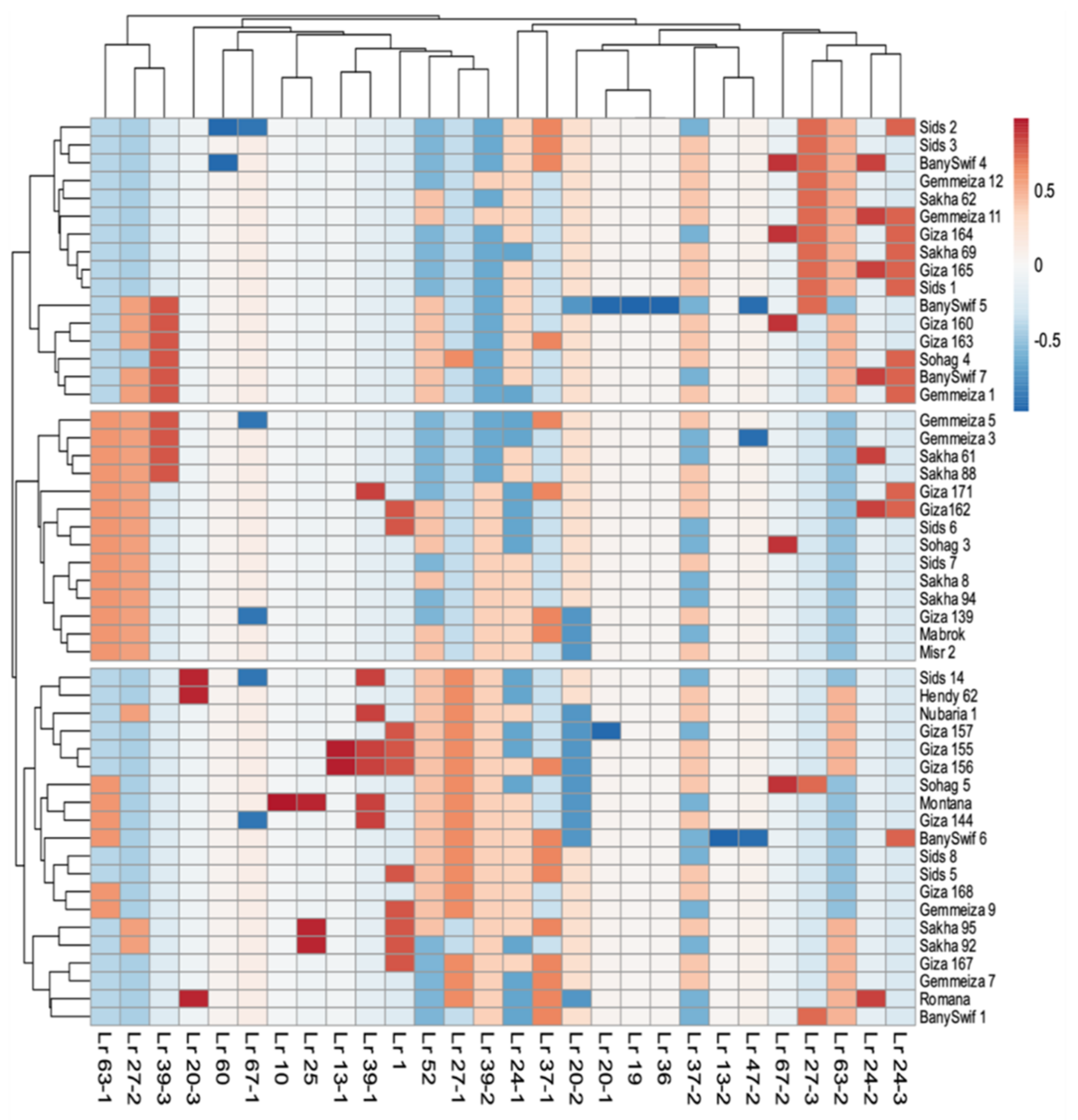 Plants 10 01378 g001 550