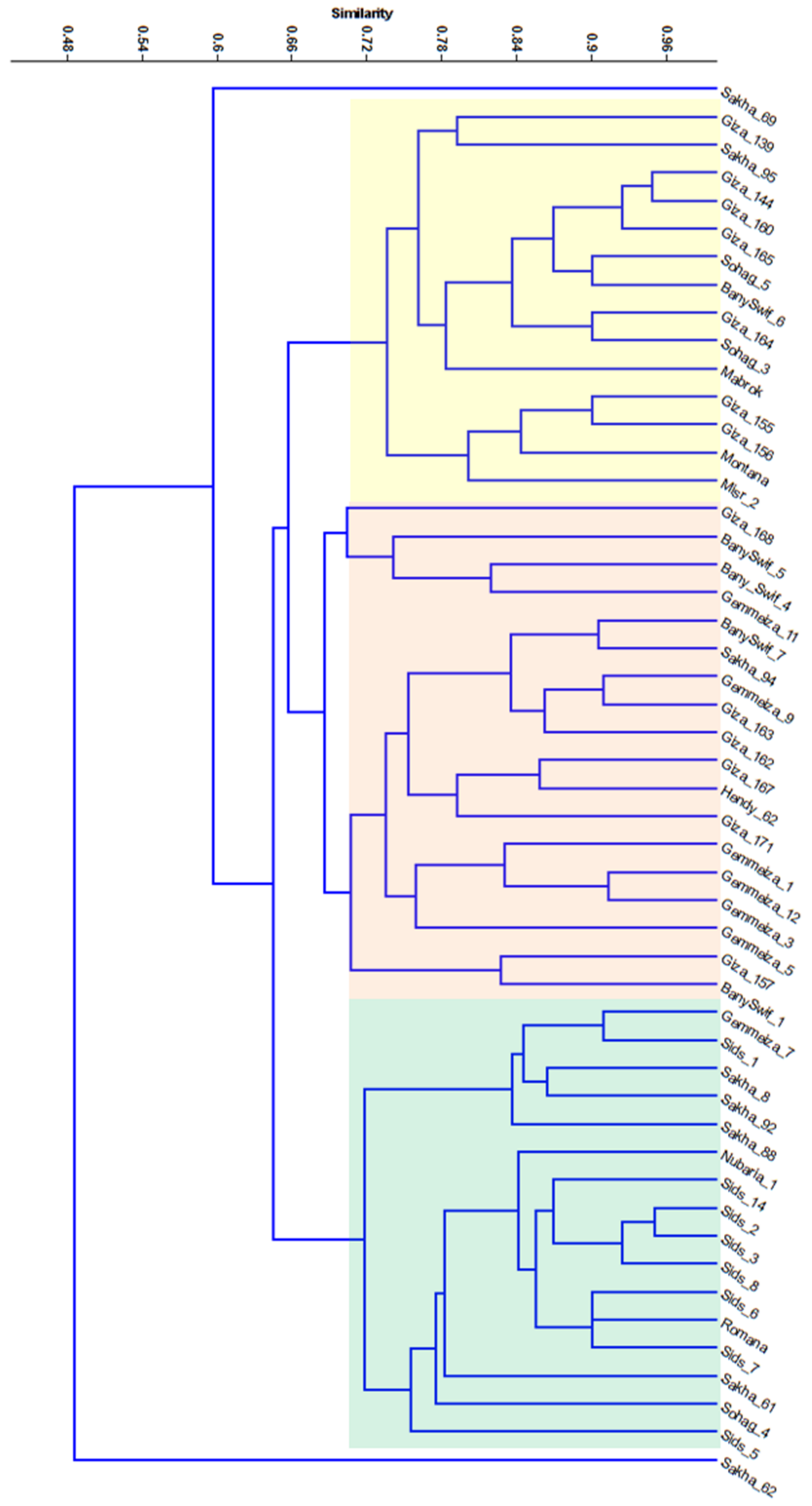 Plants 10 01378 g003 550