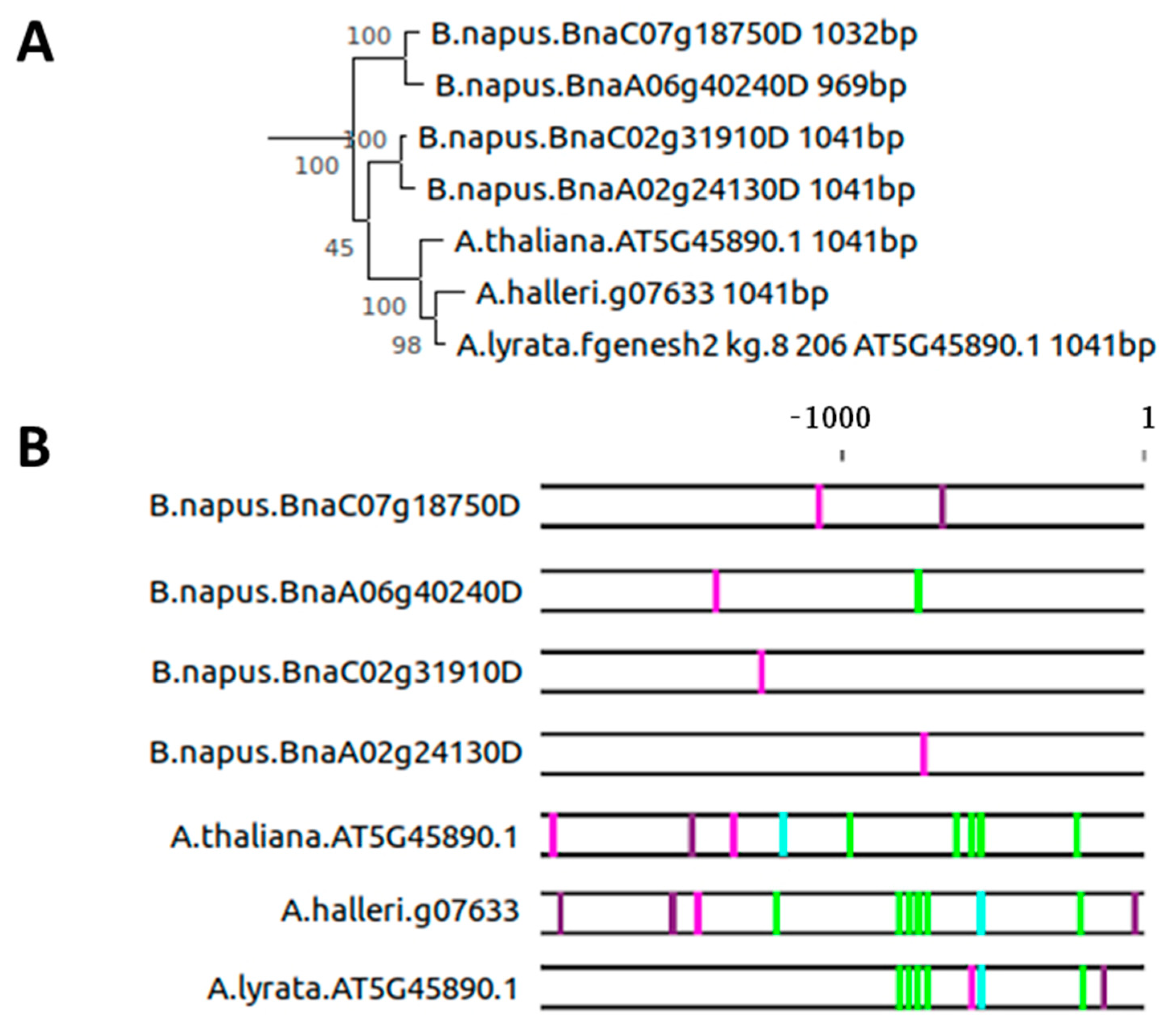 Plants 10 01380 g003 Plants 10 01380 g003