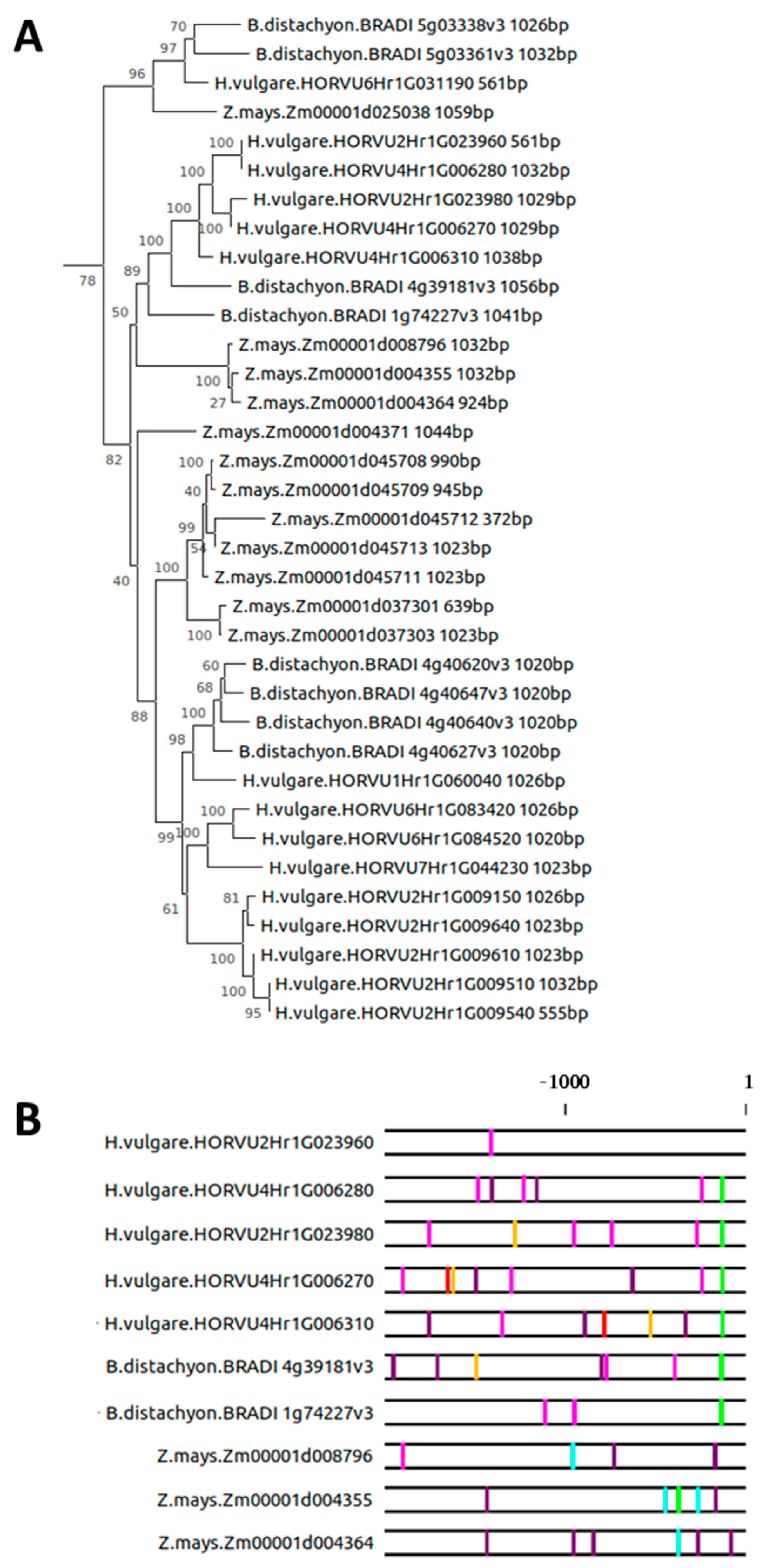 Plants 10 01380 g005 Plants 10 01380 g005