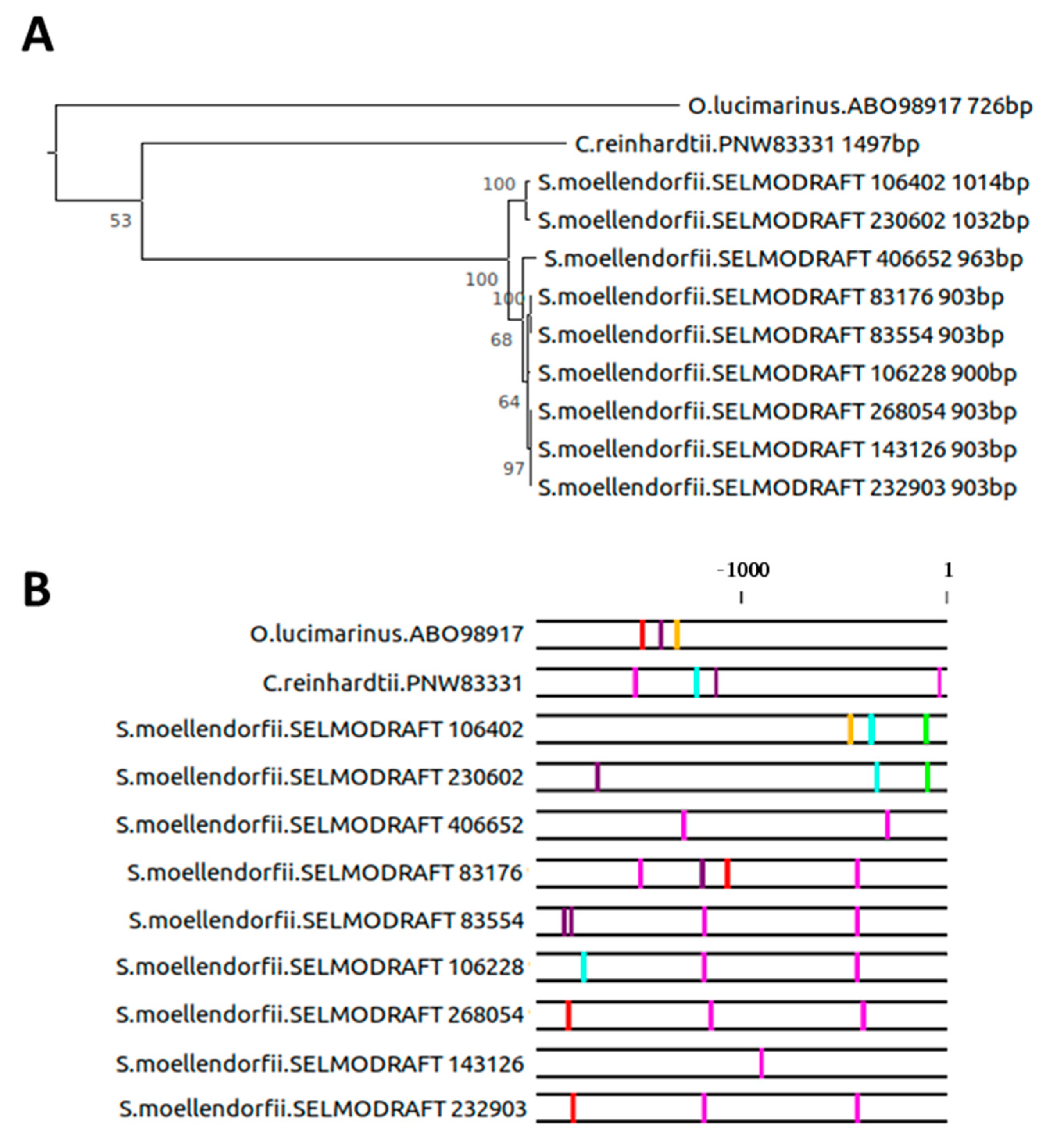 Plants 10 01380 g006 Plants 10 01380 g006