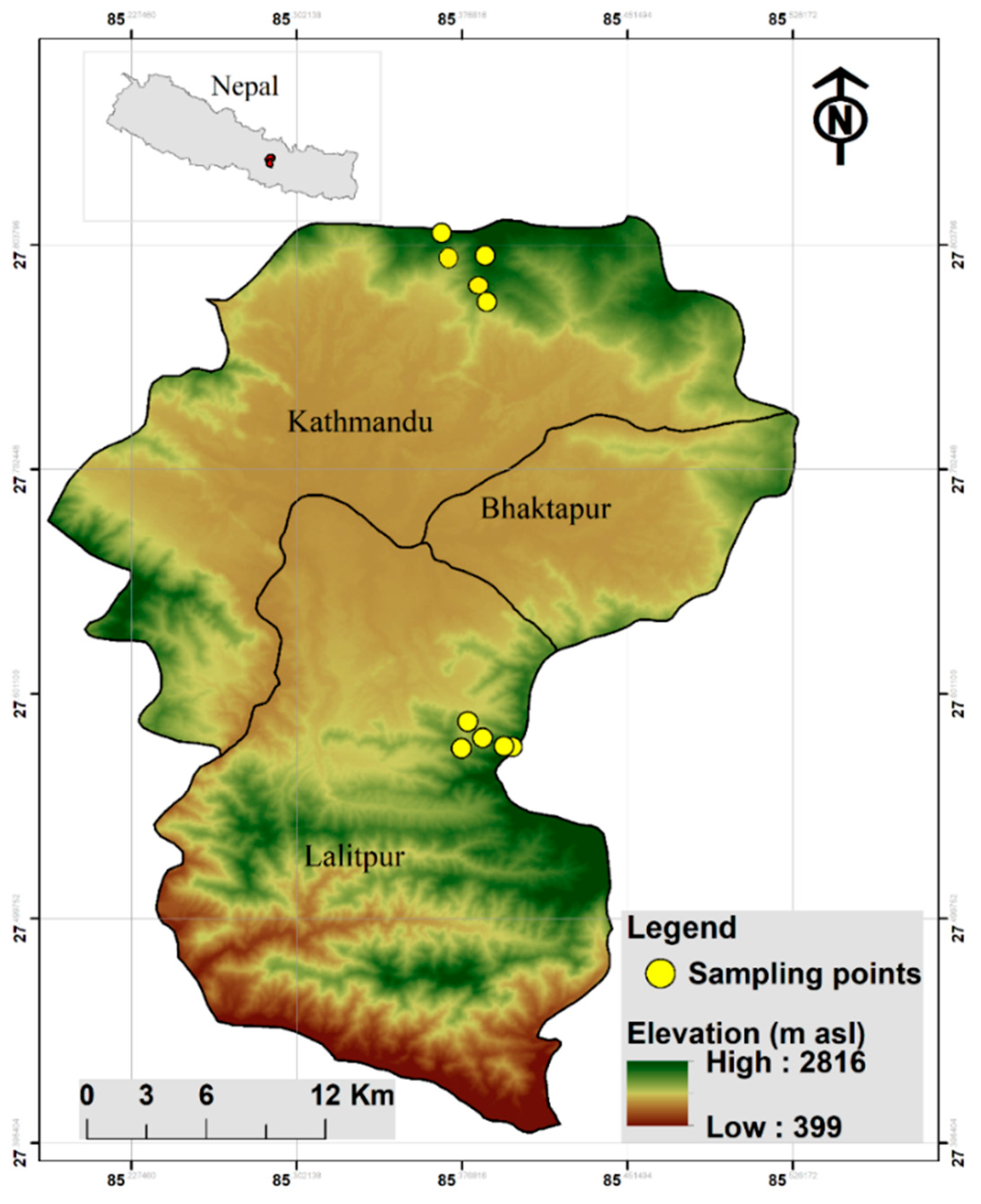 PDF) An updated checklist of vascular epiphytes in the Darjeeling