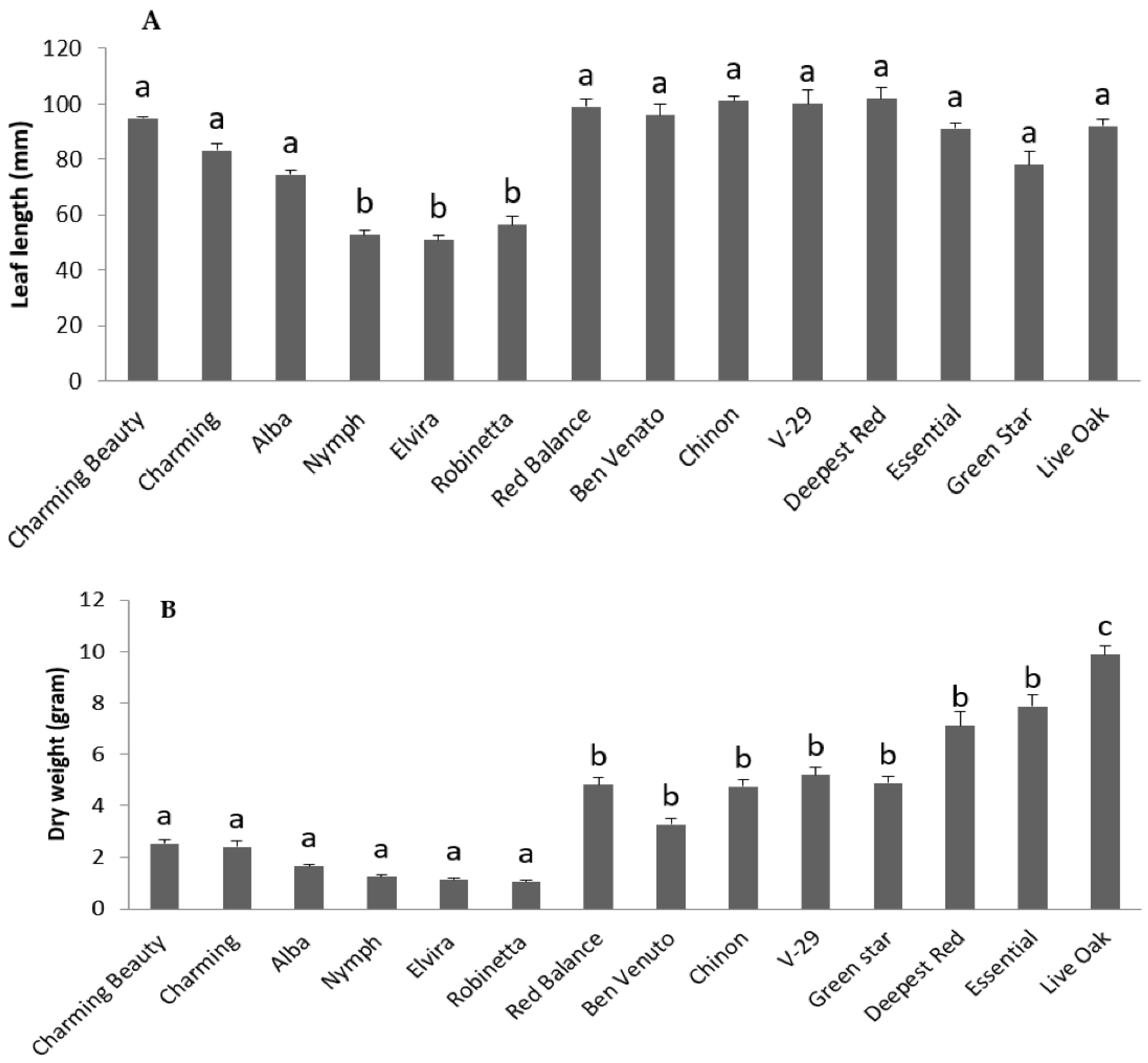 Plants 10 01384 g002