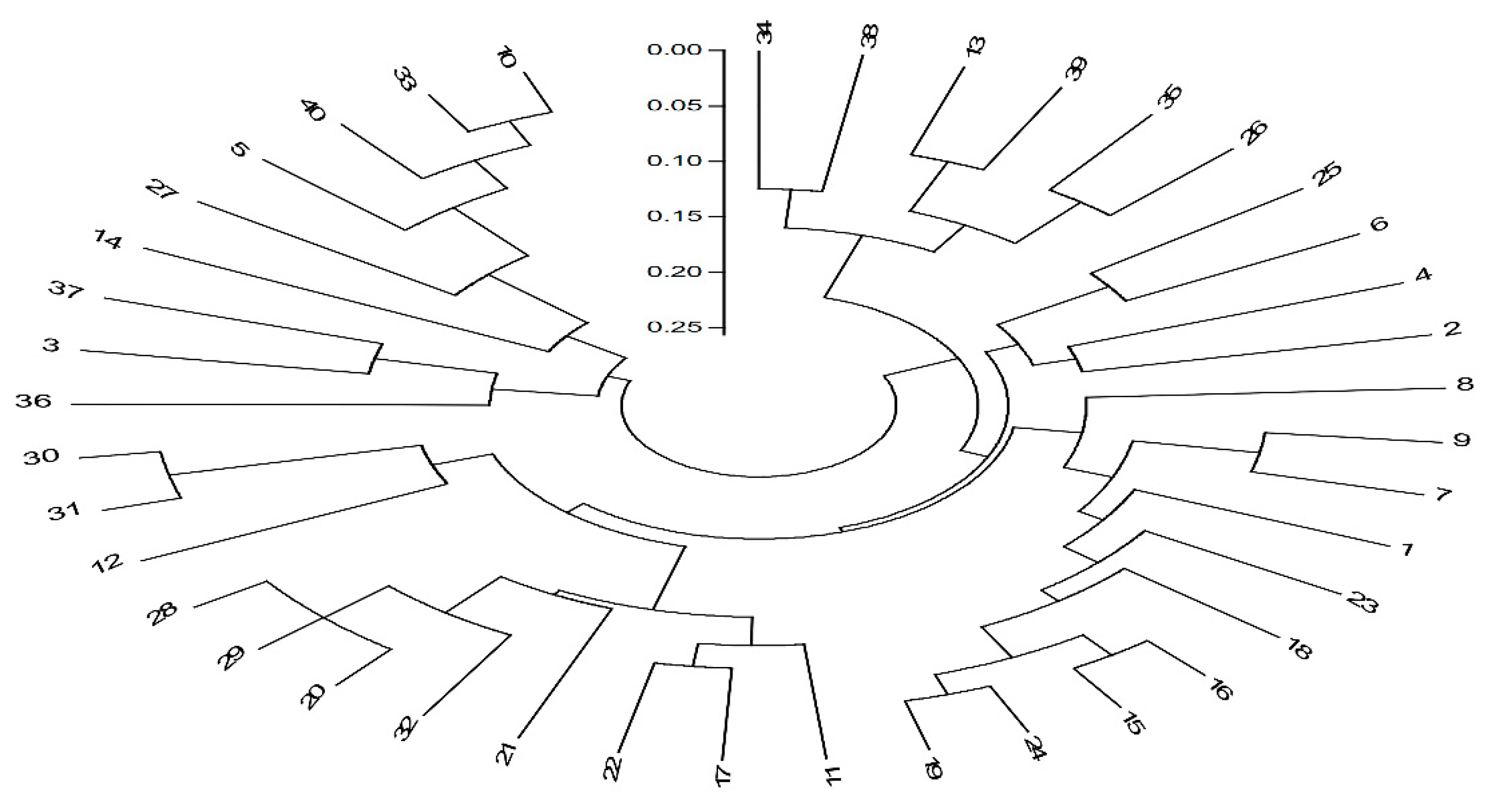 Plants 10 01393 g003 550