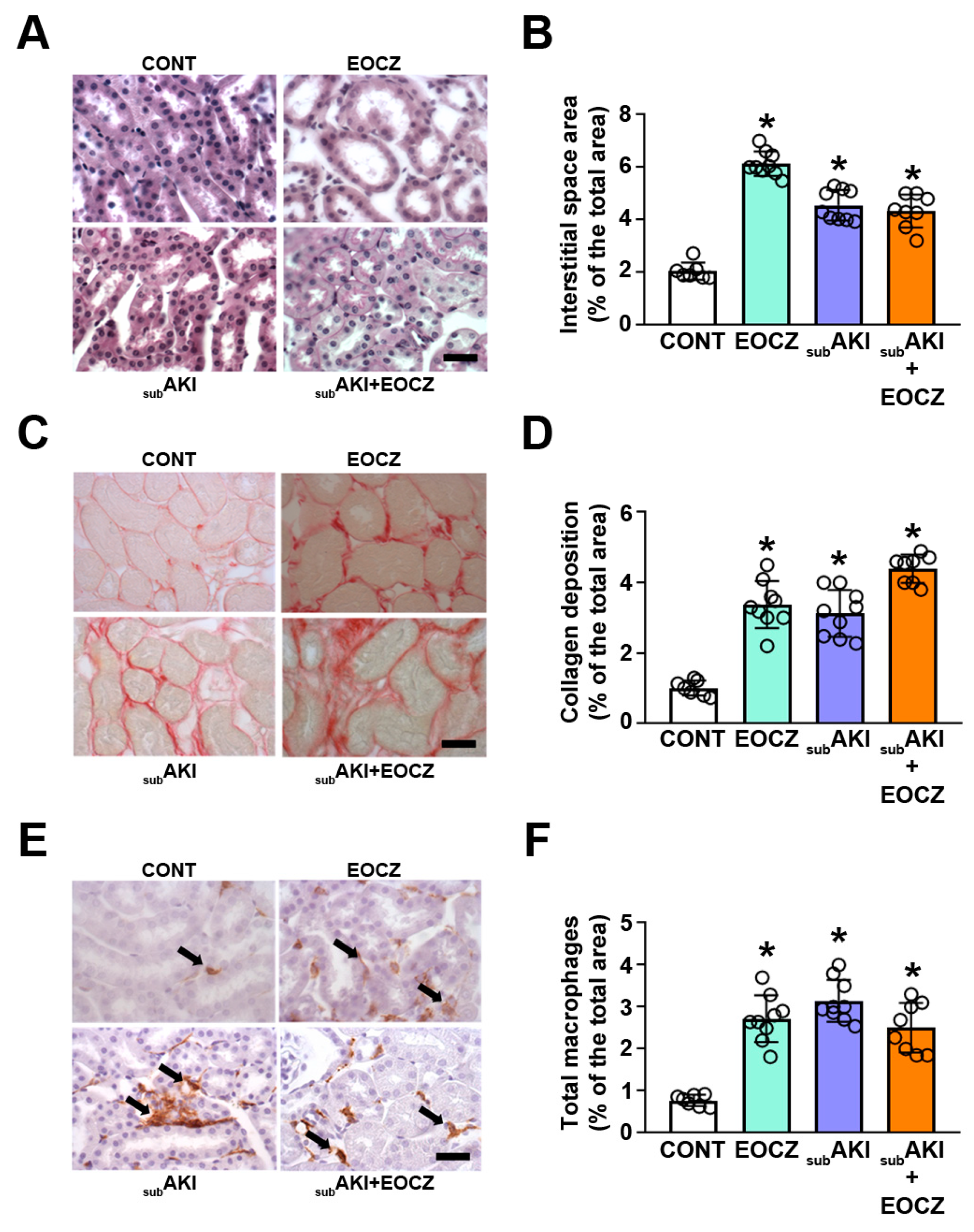 Plants 10 01400 g005