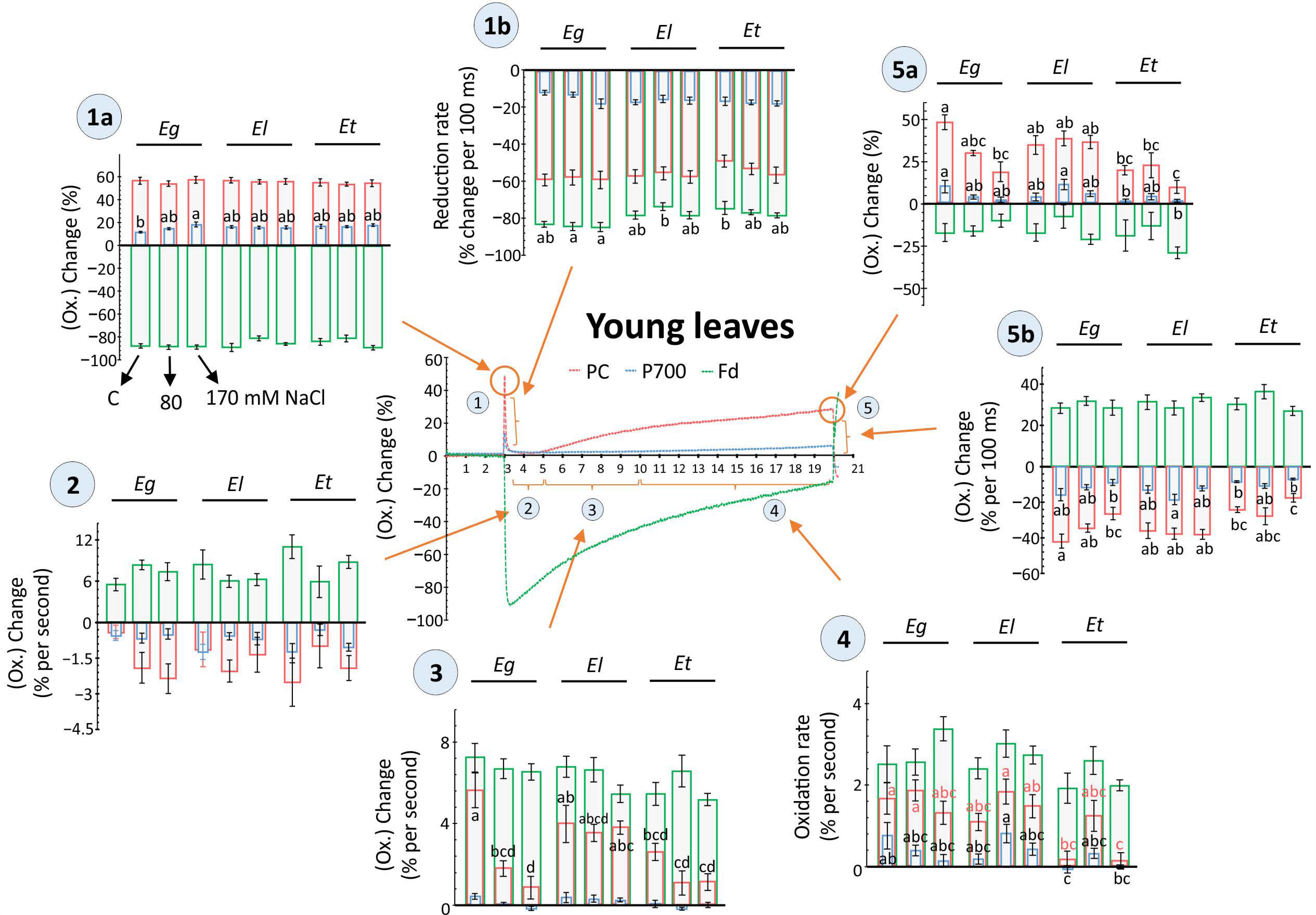 Plants 10 01401 g005