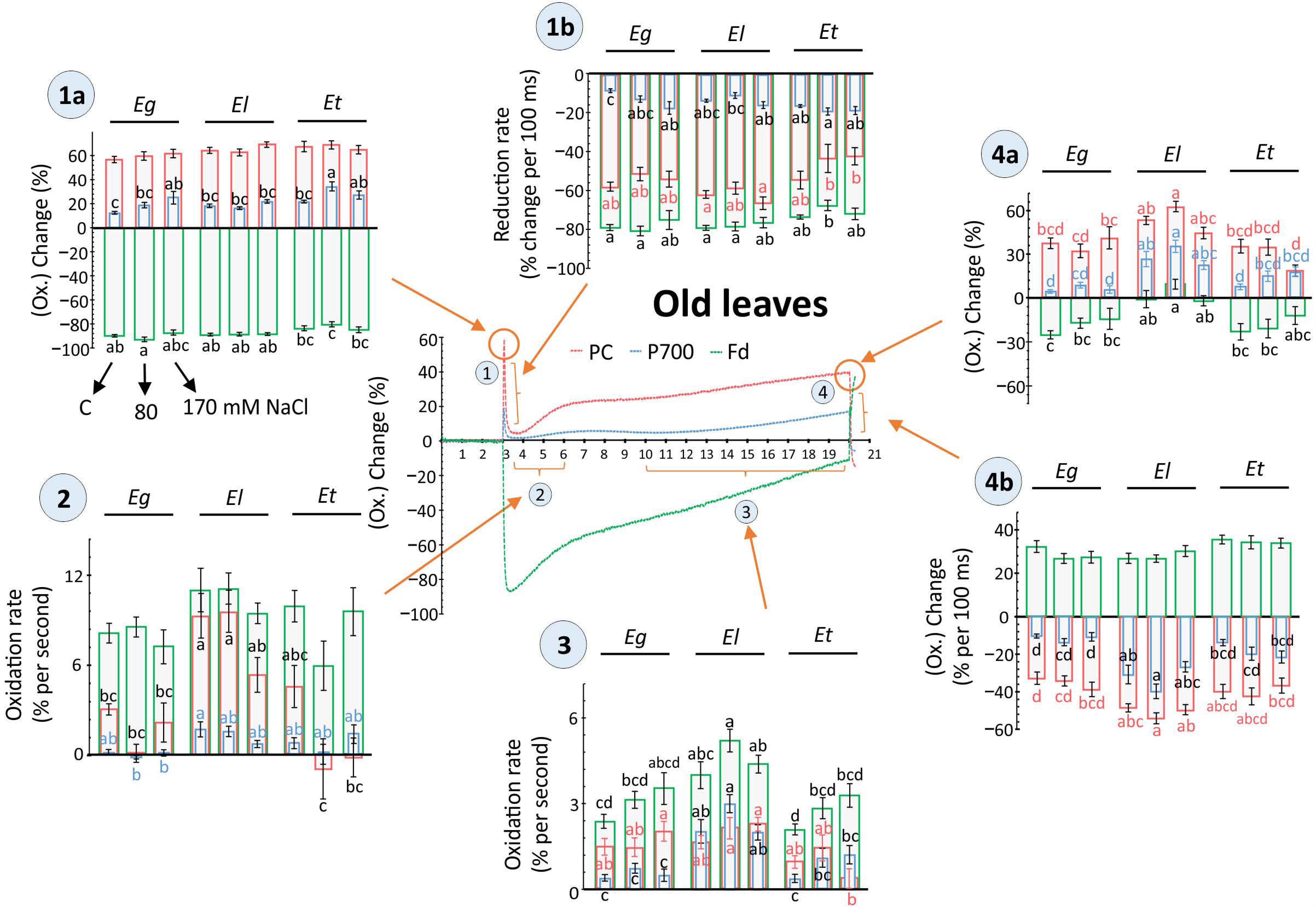 Plants 10 01401 g006