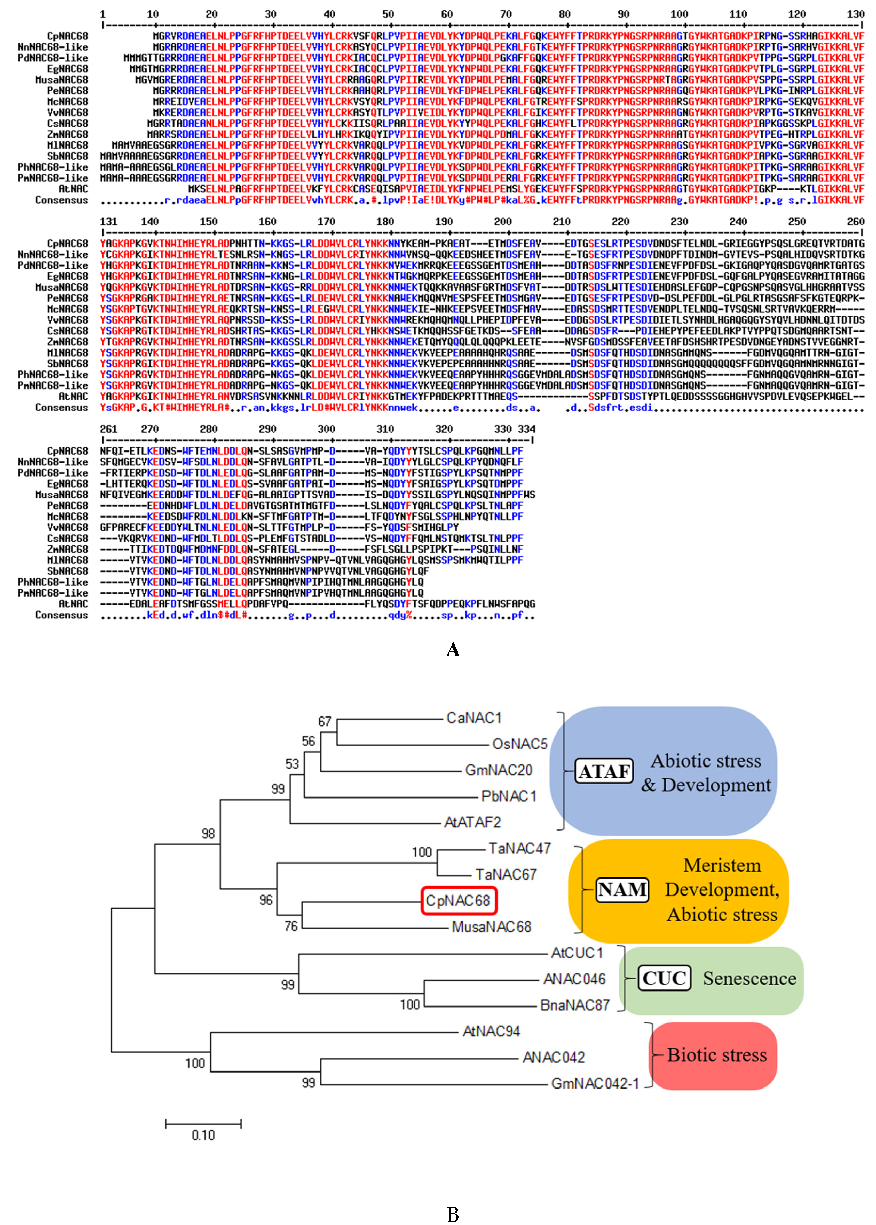 Plants 10 01403 g001 550