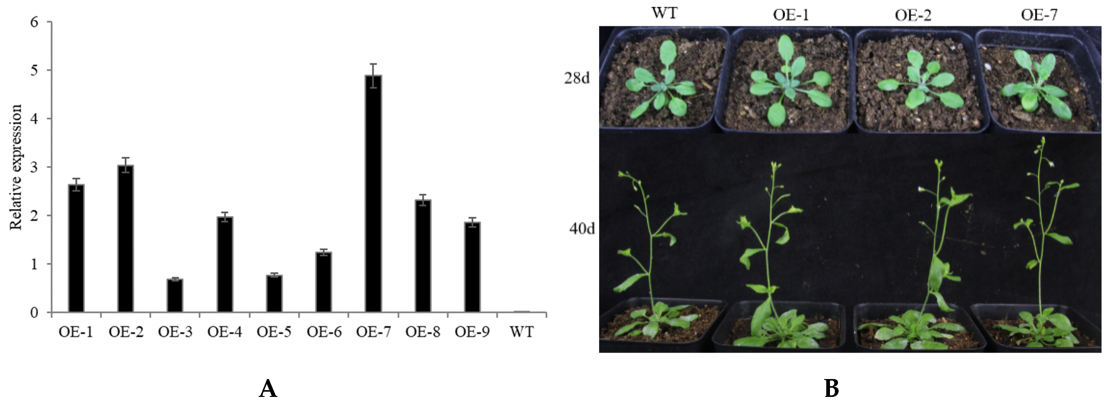 Plants 10 01403 g004 550