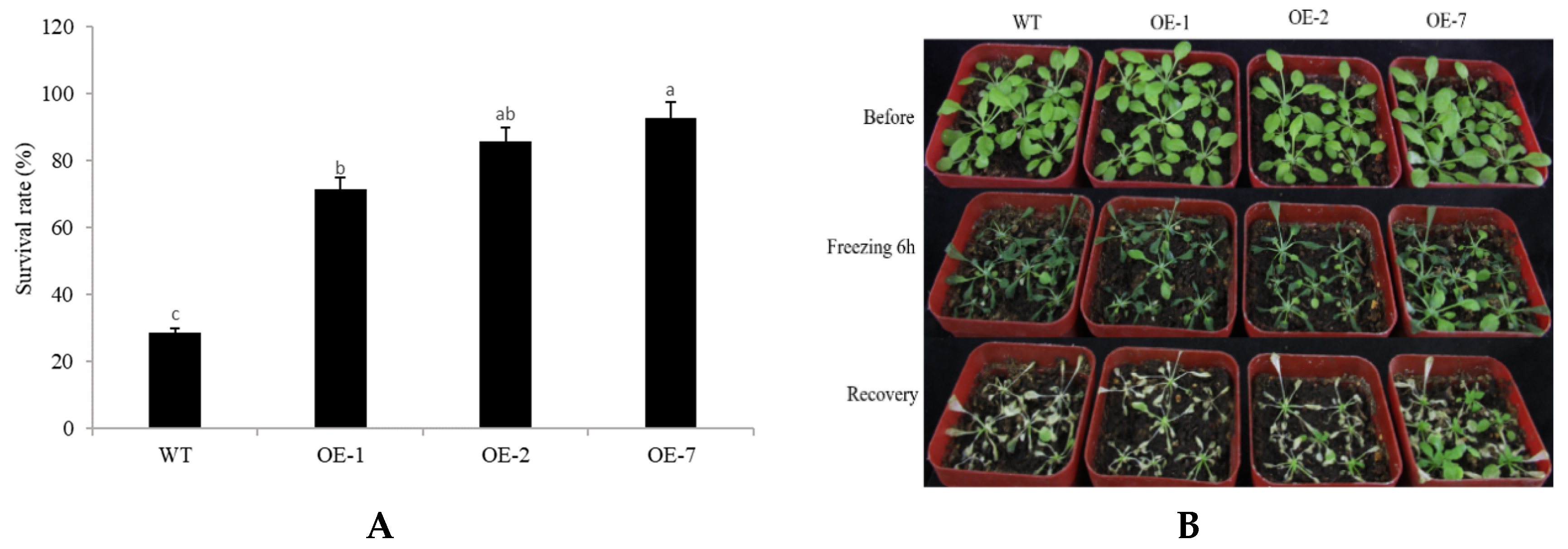 Plants 10 01403 g008 550