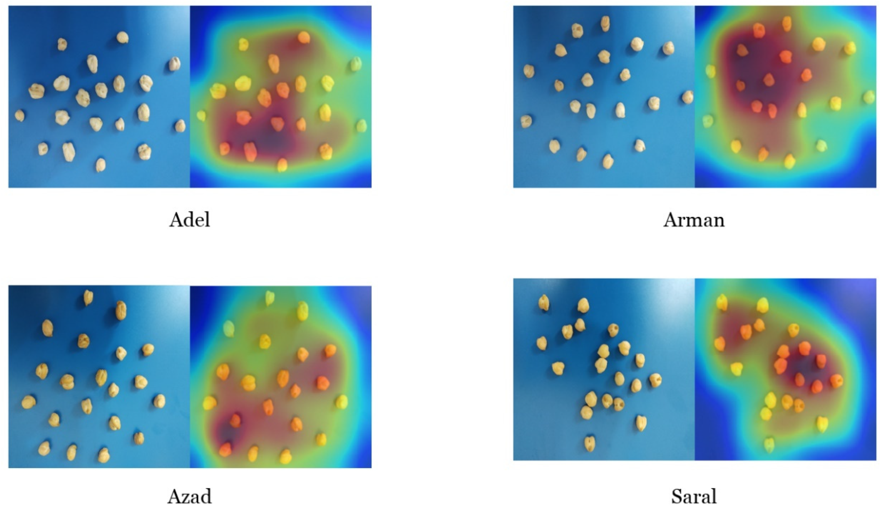 Plants 10 01406 g006 550