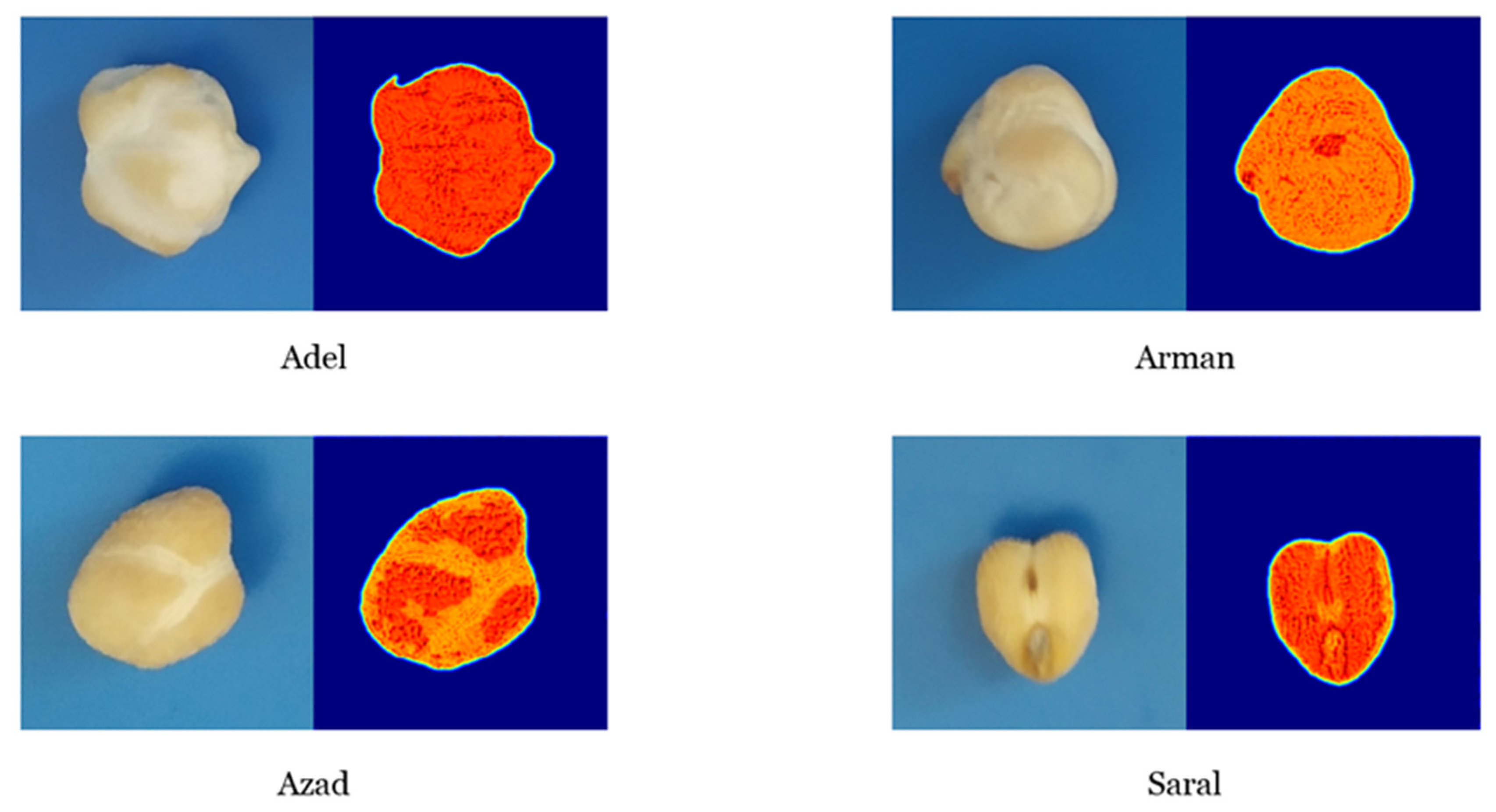 Plants 10 01406 g007 550