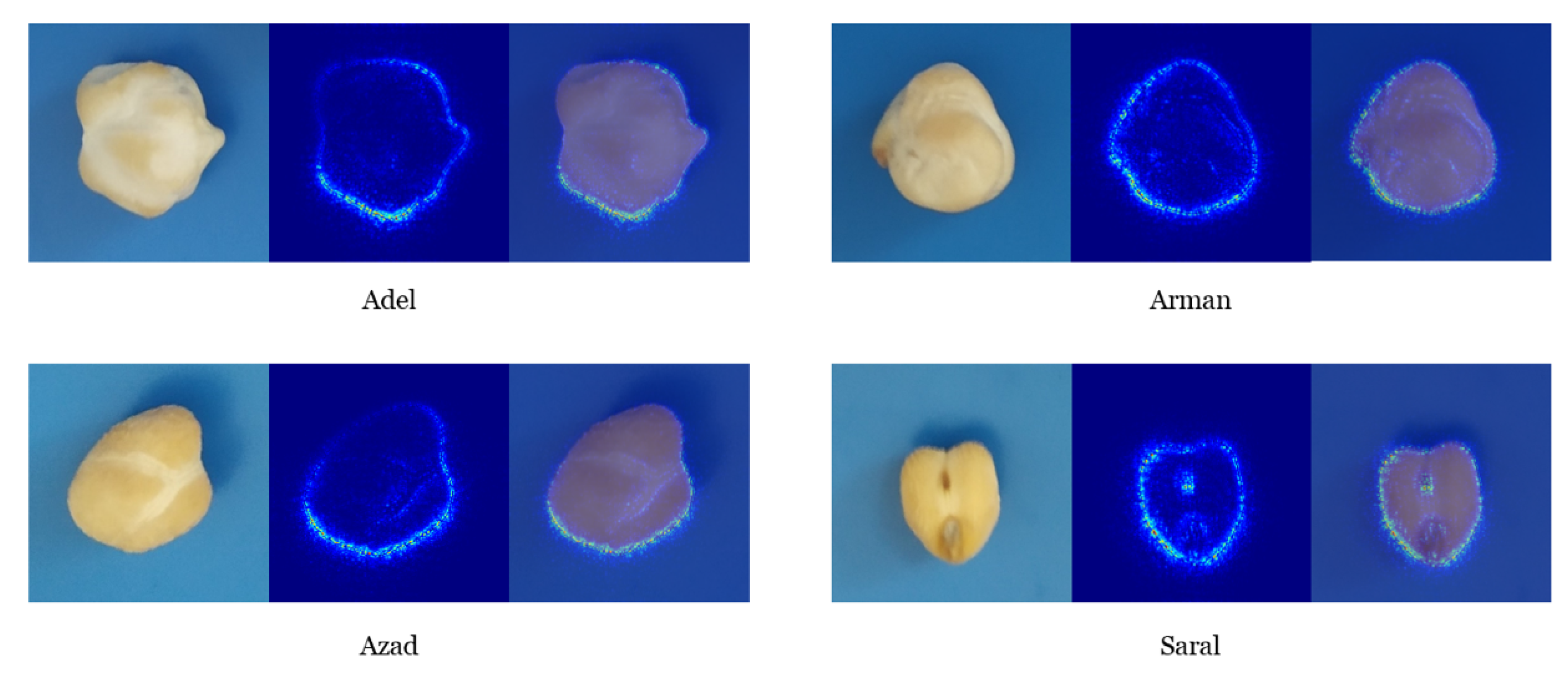 Plants 10 01406 g008 550