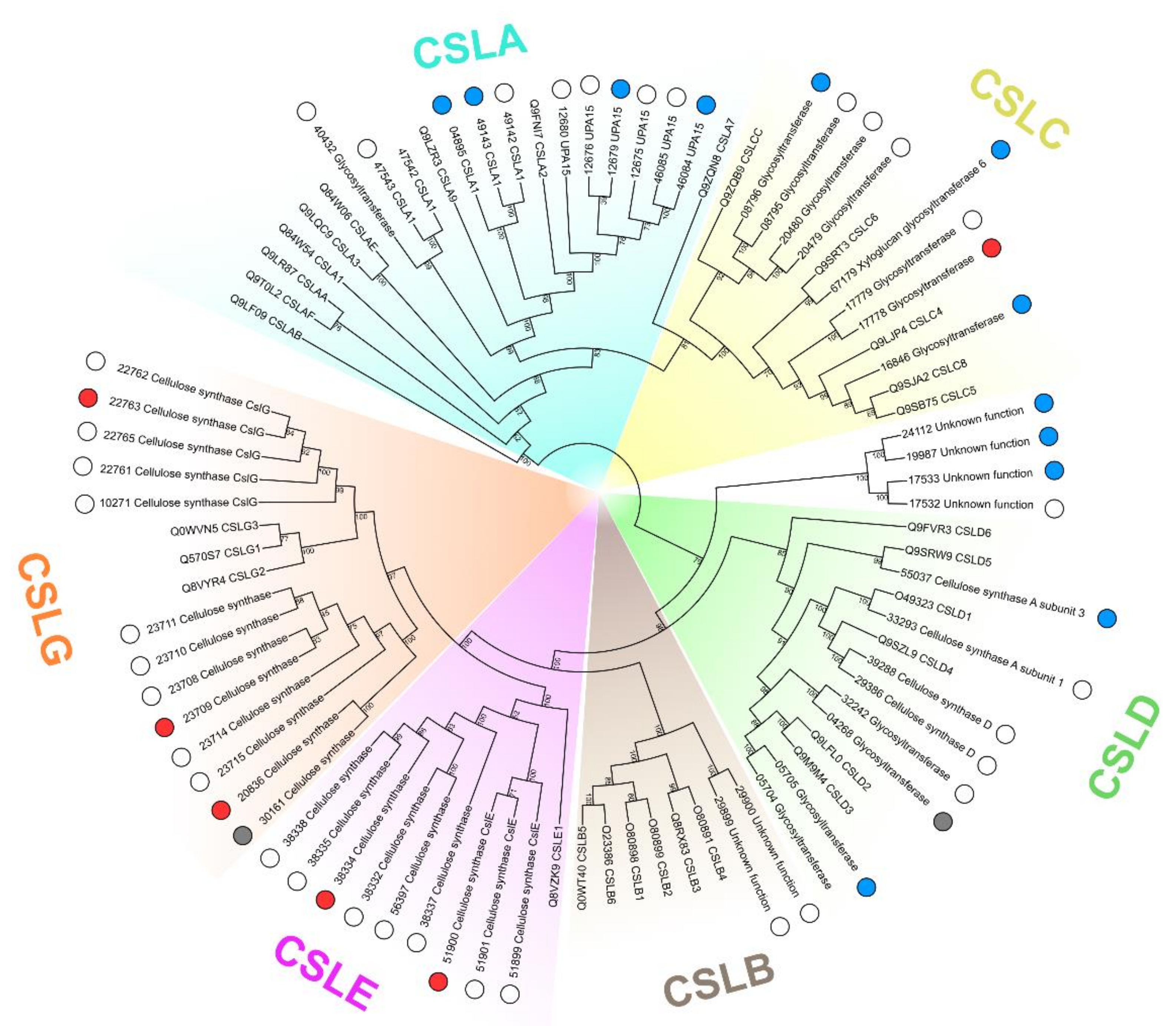 Plants 10 01407 g009