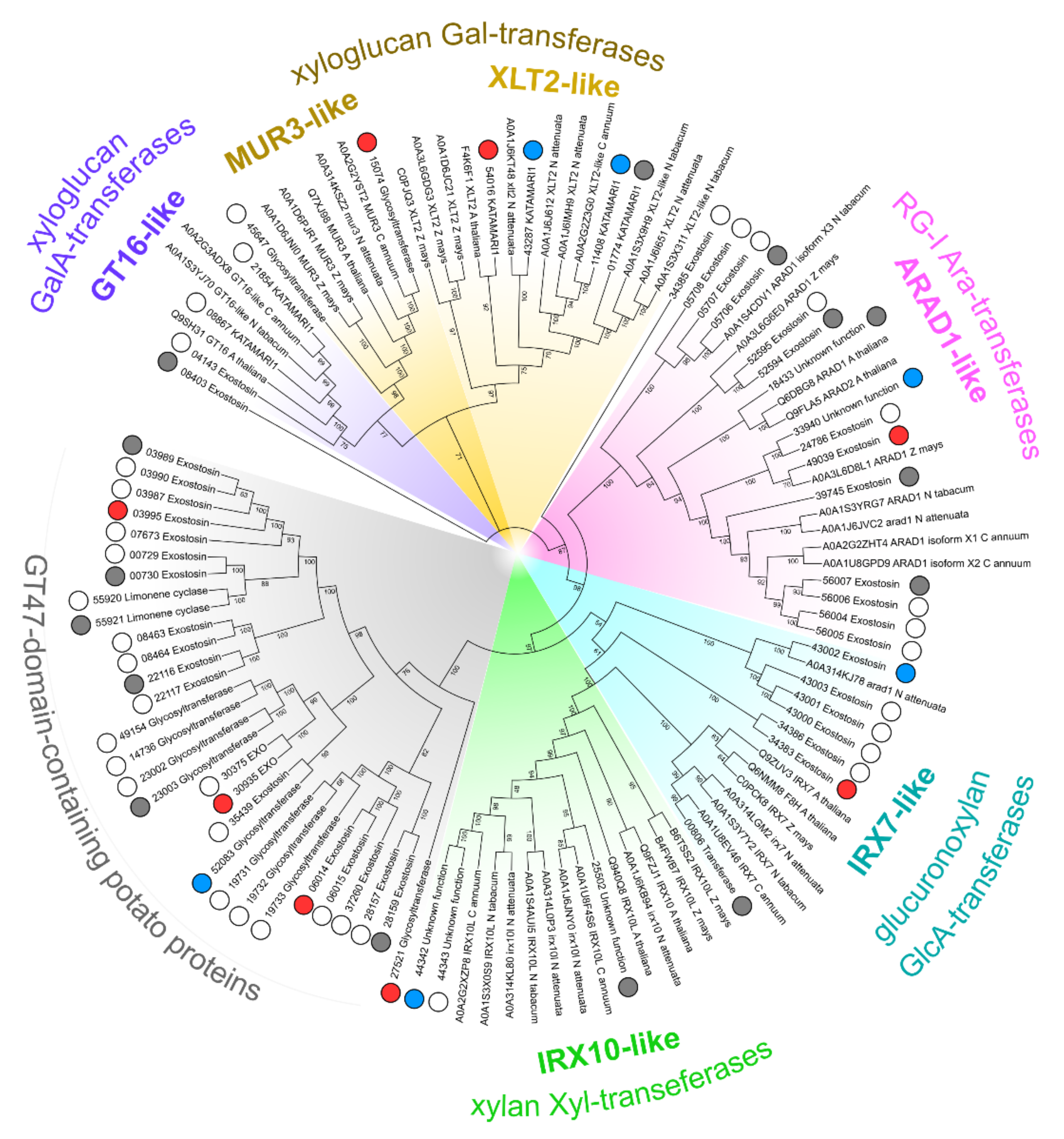 Plants 10 01407 g010