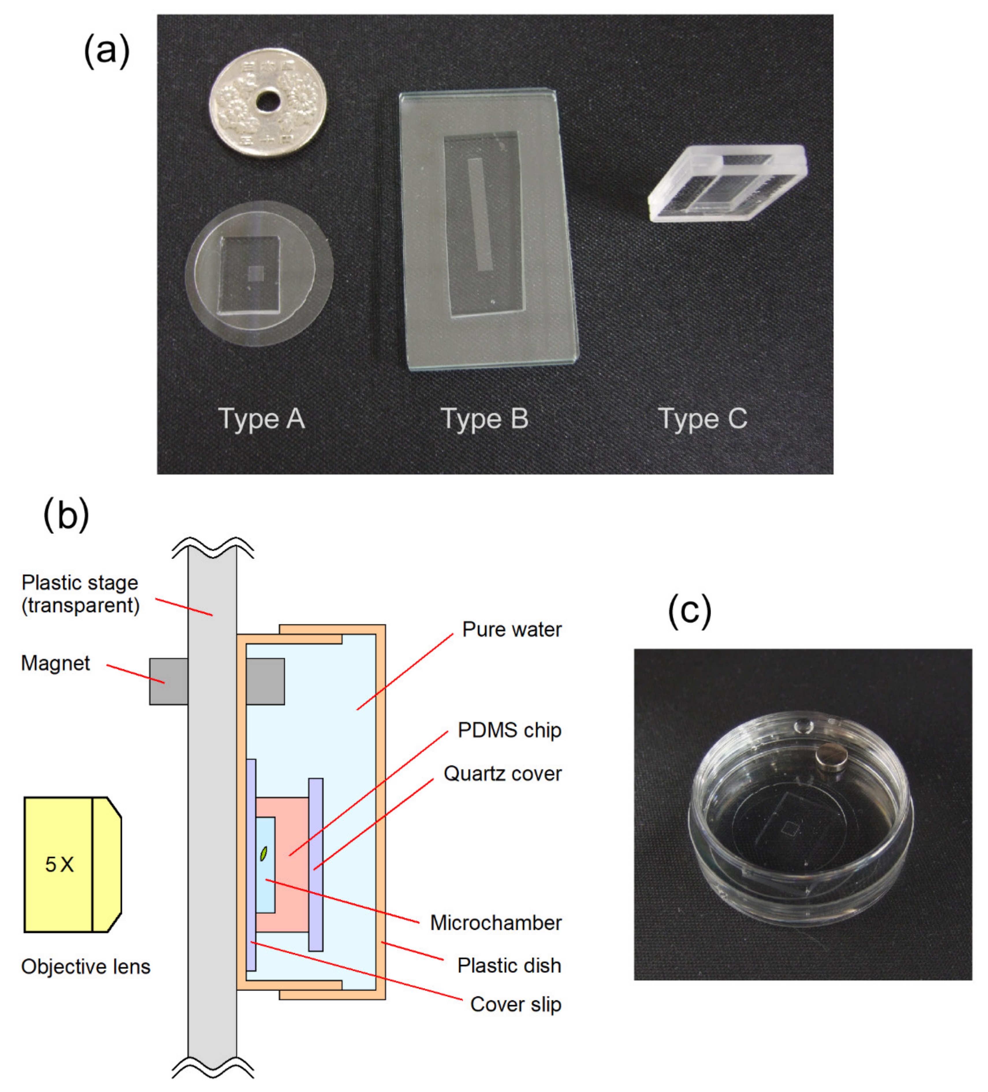 Plants 10 01411 g001 Plants 10 01411 g001