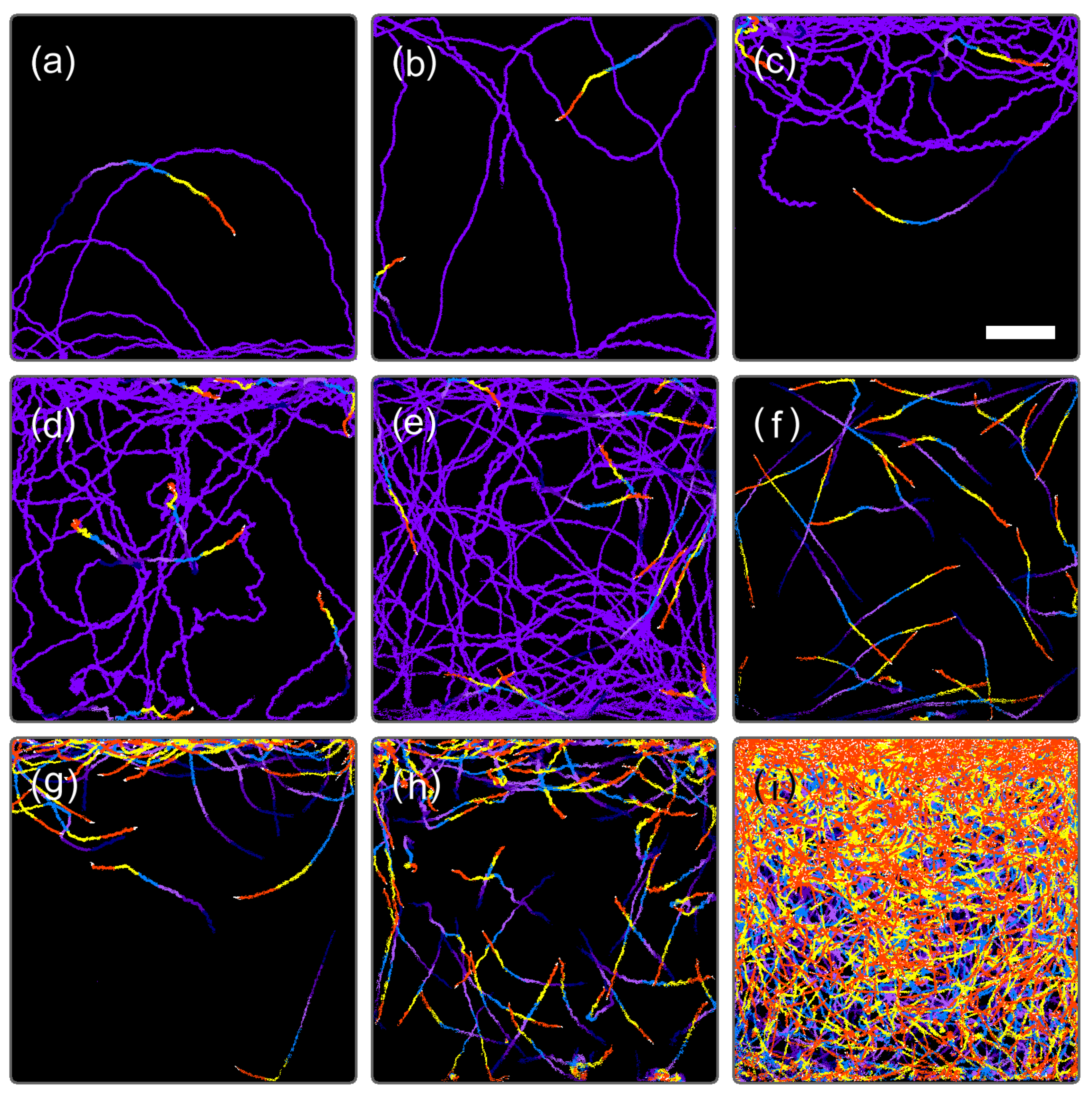 Plants 10 01411 g003 Plants 10 01411 g003