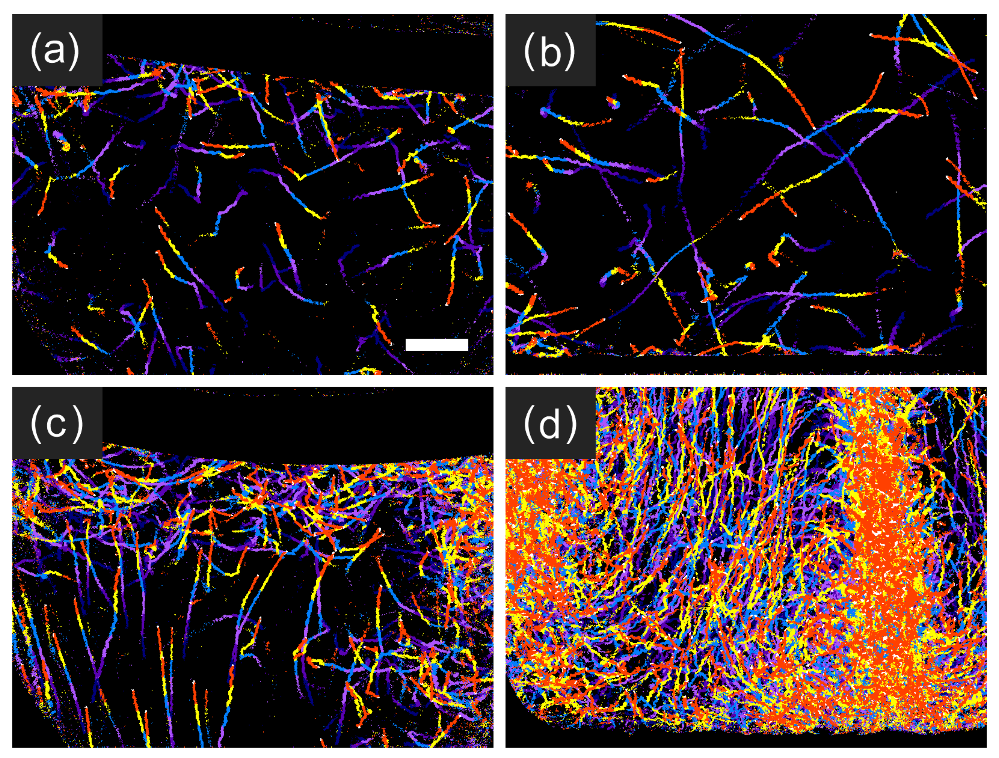 Plants 10 01411 g007 Plants 10 01411 g007