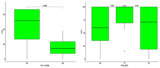 Plants Special Issue Floral Biology
