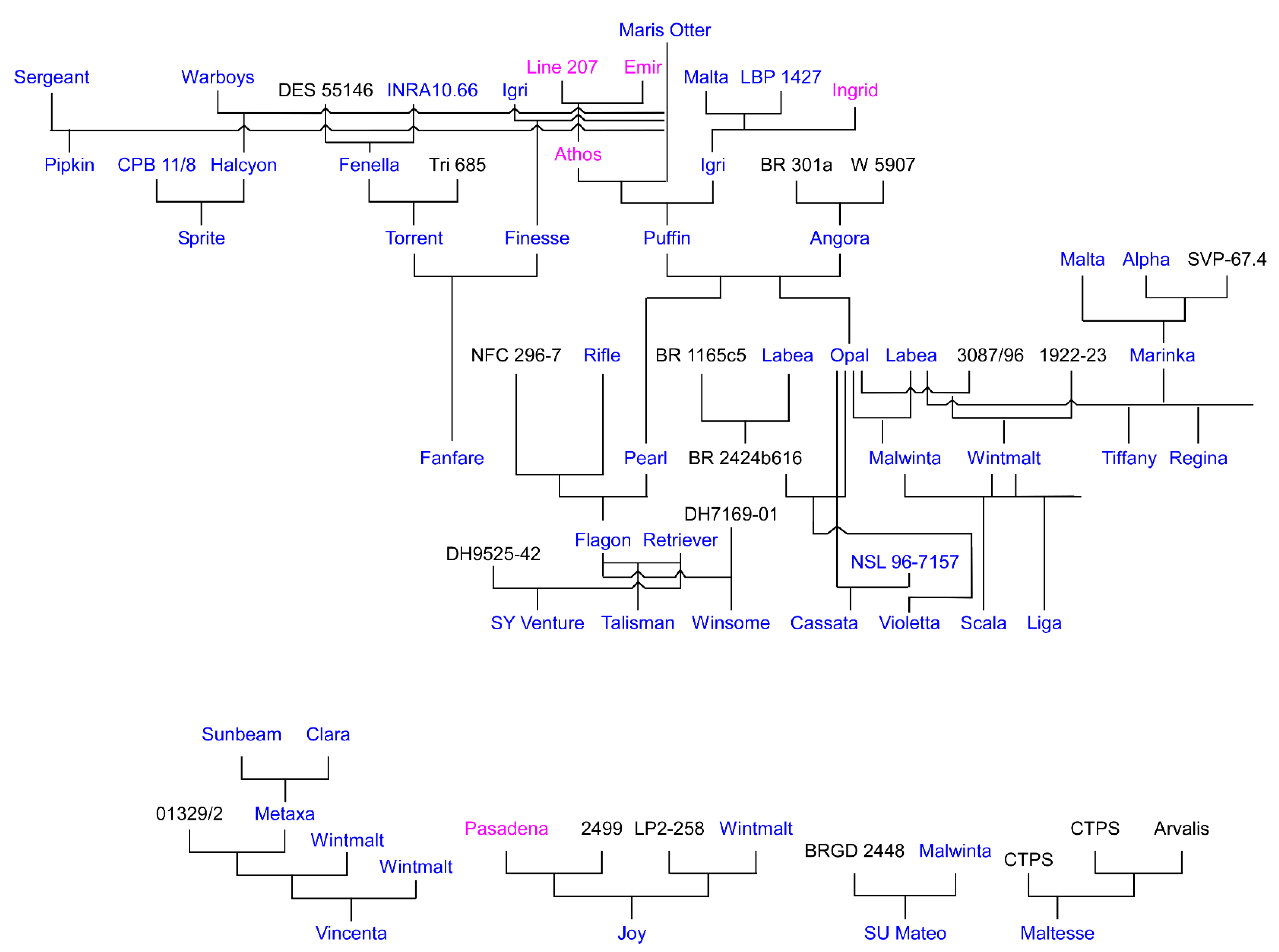Plants 10 01415 g001 Plants 10 01415 g001