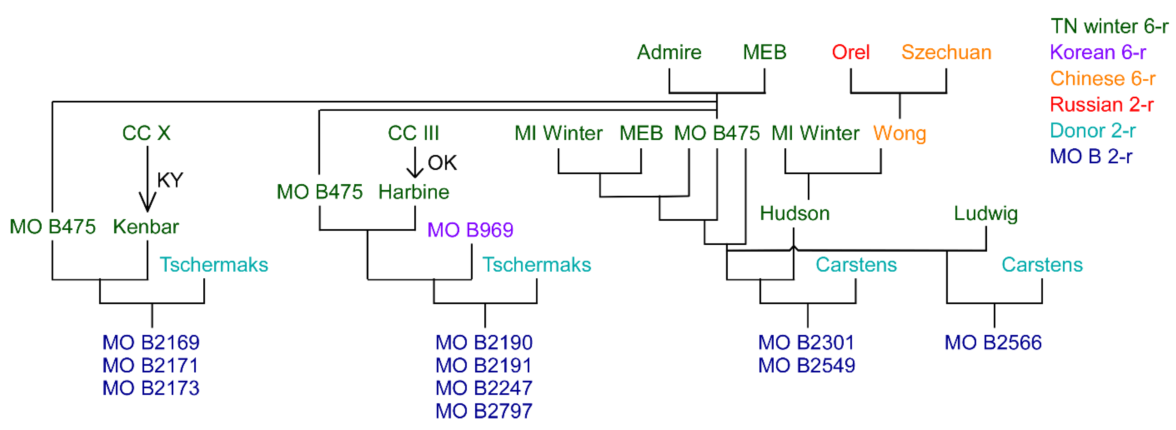 Plants 10 01415 g002 Plants 10 01415 g002