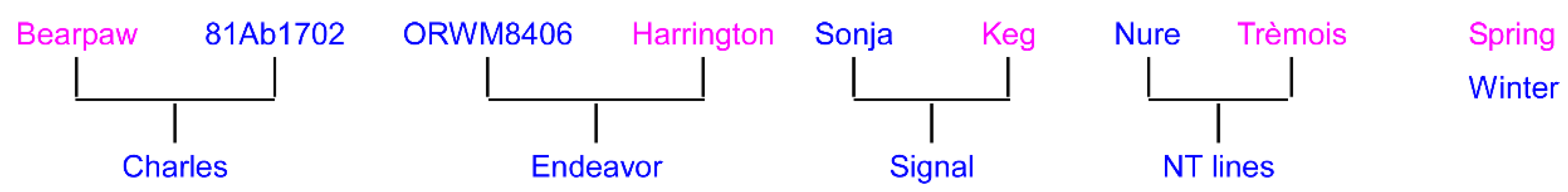 Plants 10 01415 g004 Plants 10 01415 g004