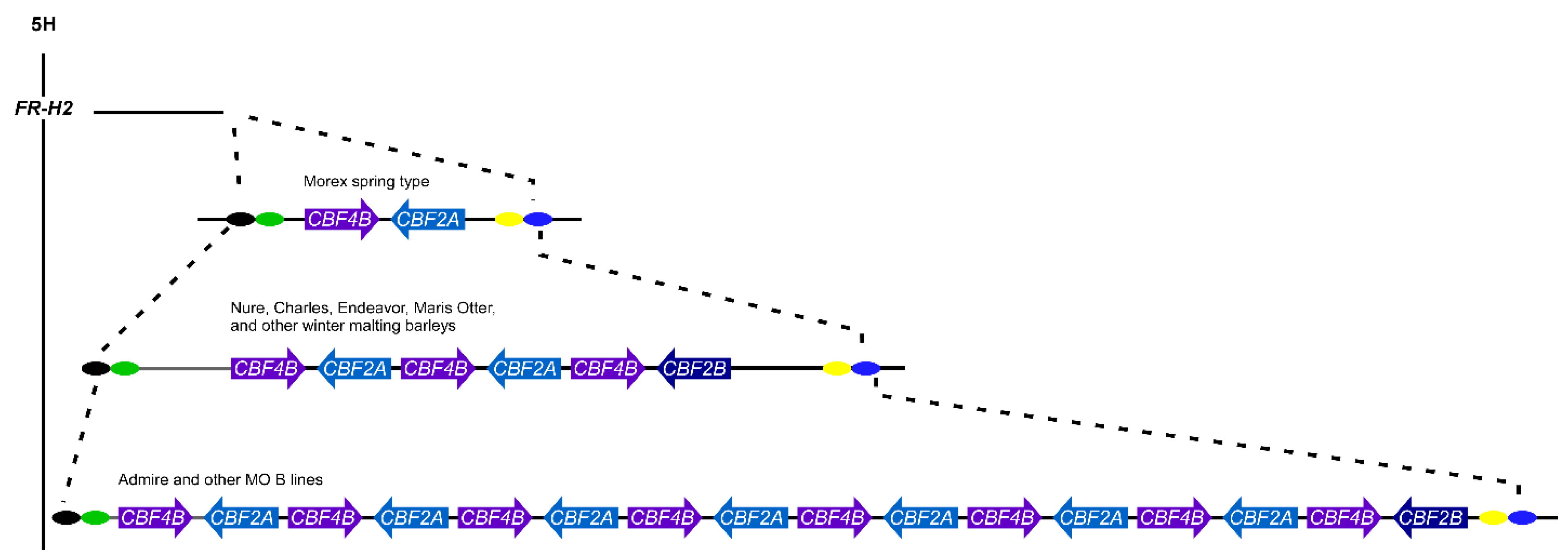 Plants 10 01415 g005 Plants 10 01415 g005