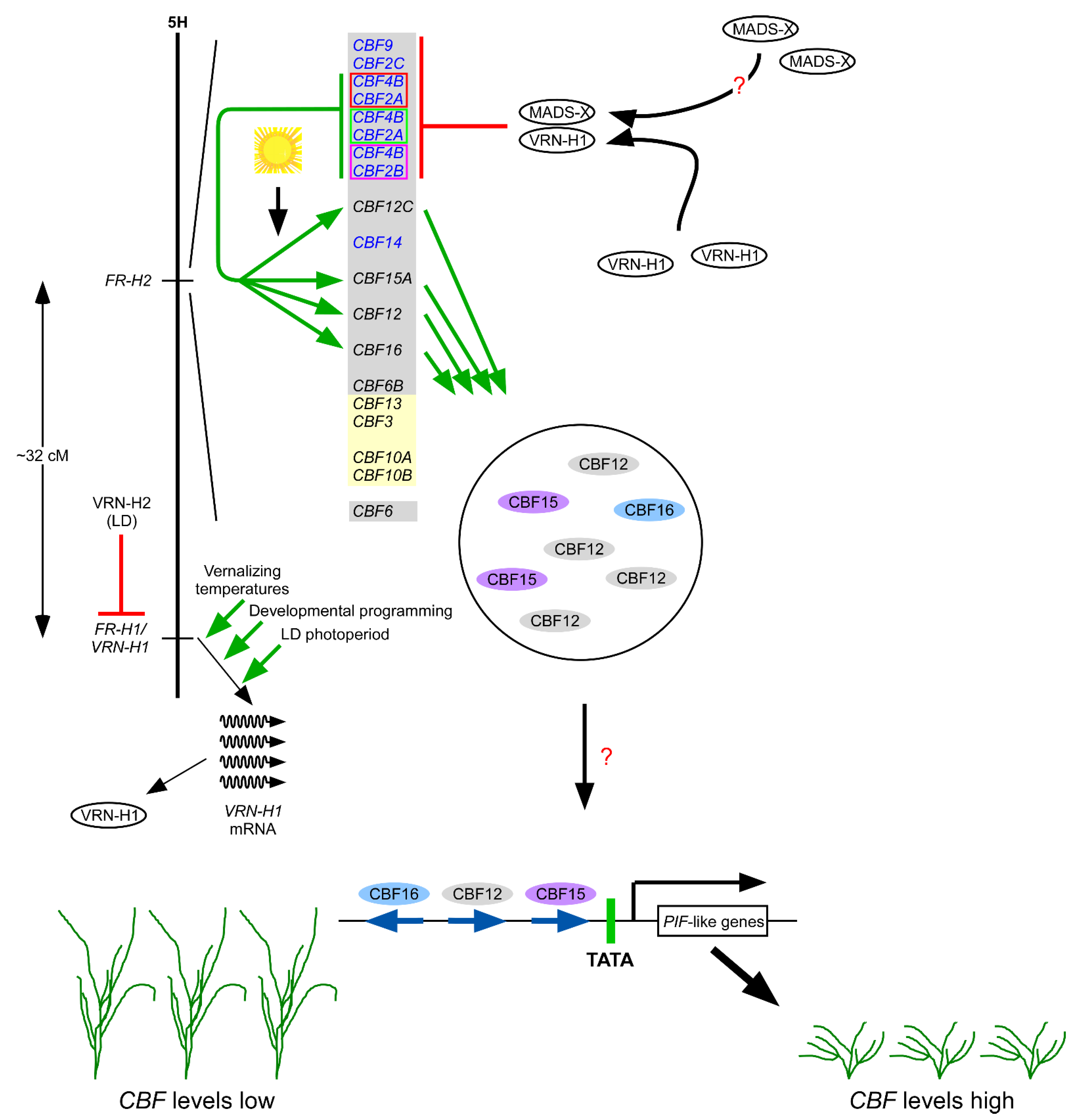Plants 10 01415 g007 Plants 10 01415 g007