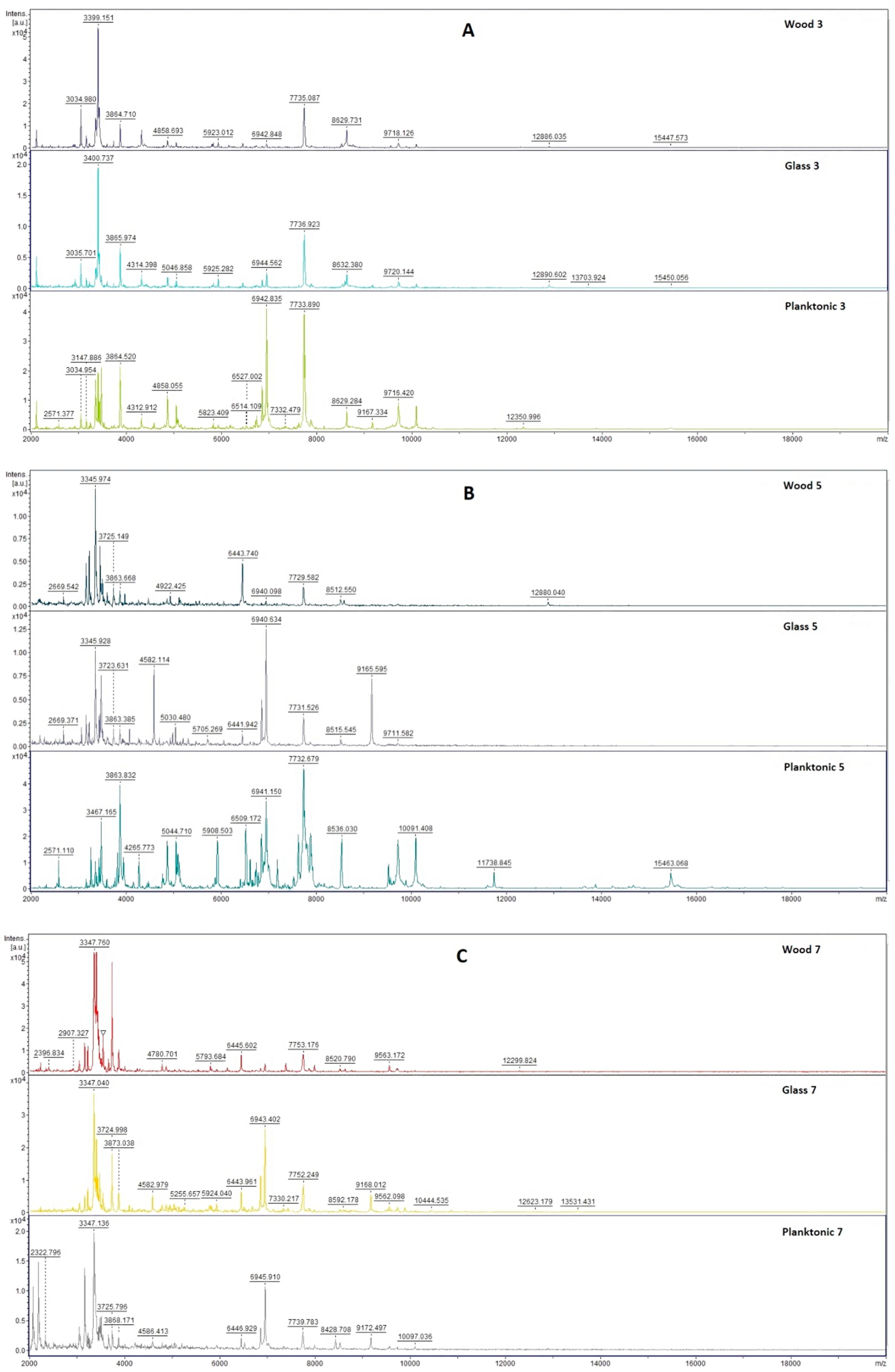 Plants 10 01416 g001a