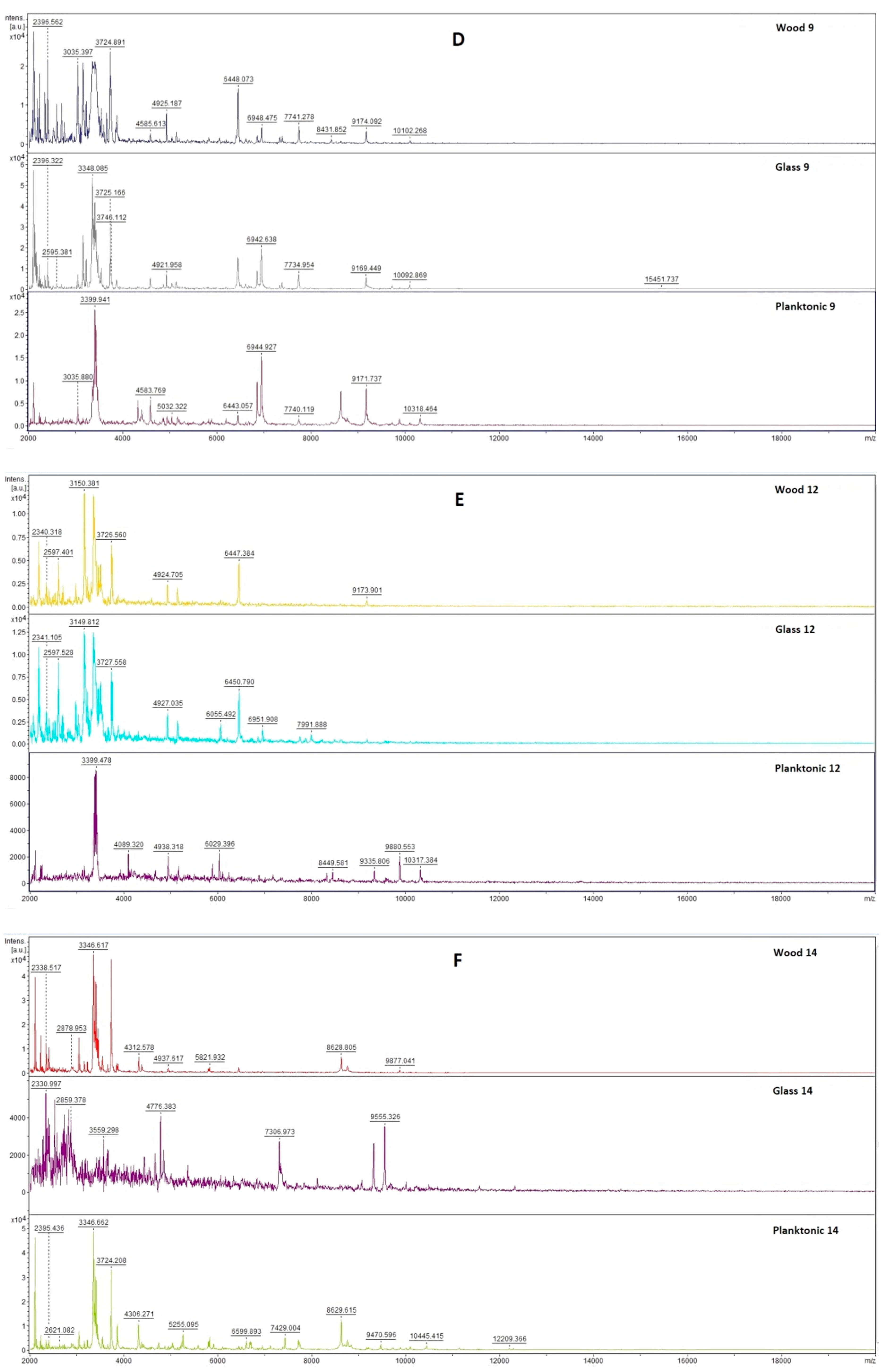 Plants 10 01416 g001b