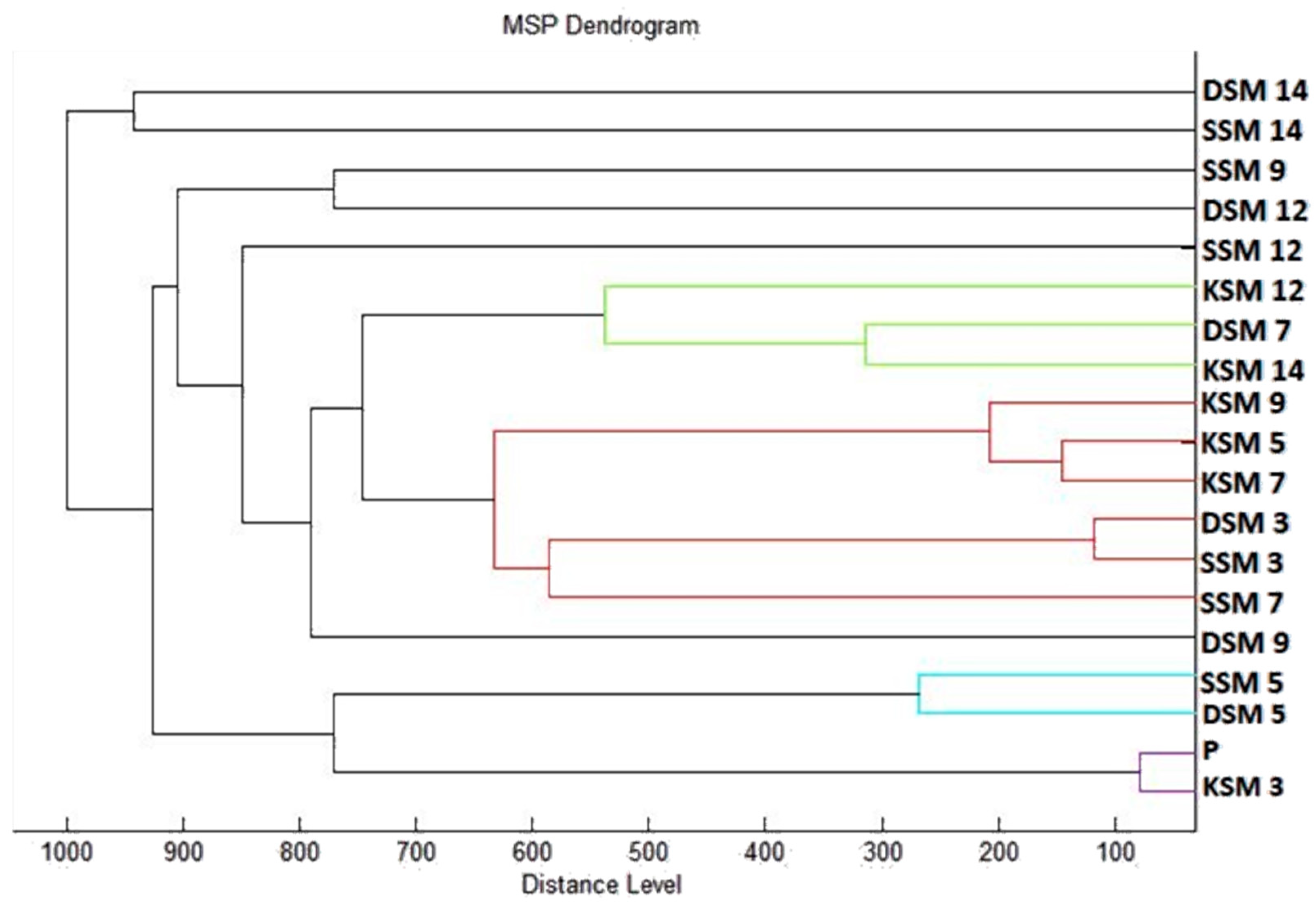 Plants 10 01416 g002