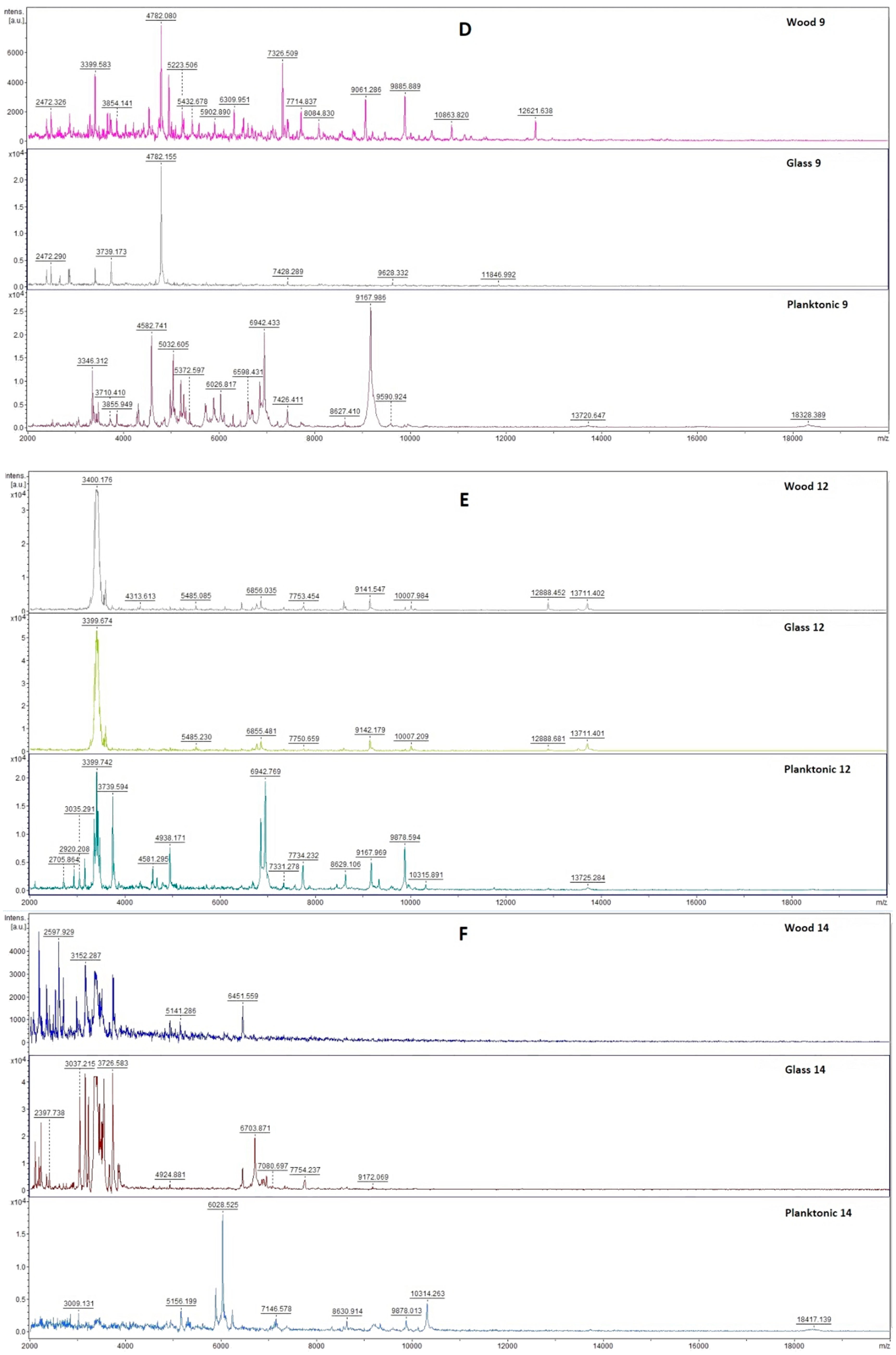 Plants 10 01416 g003b
