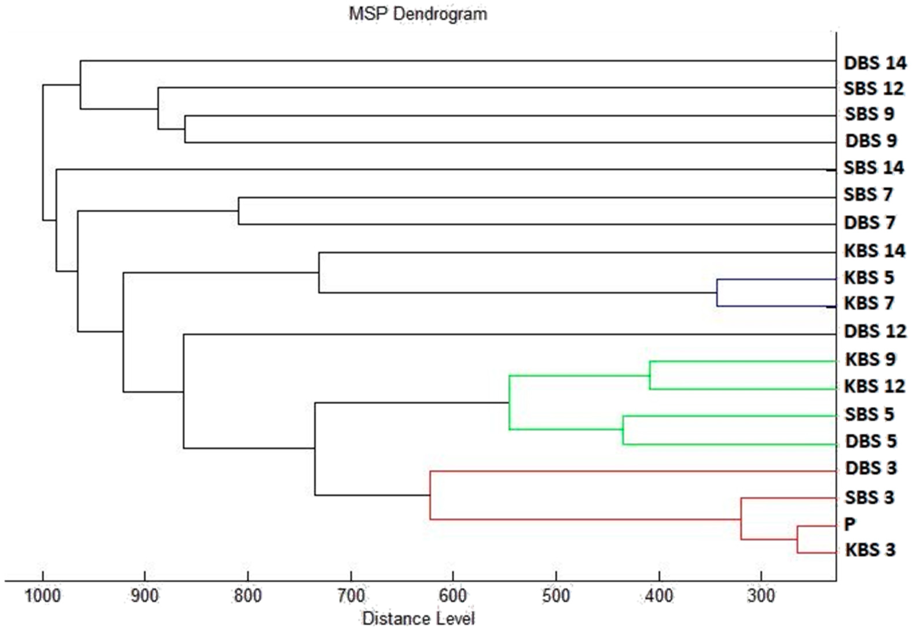 Plants 10 01416 g004