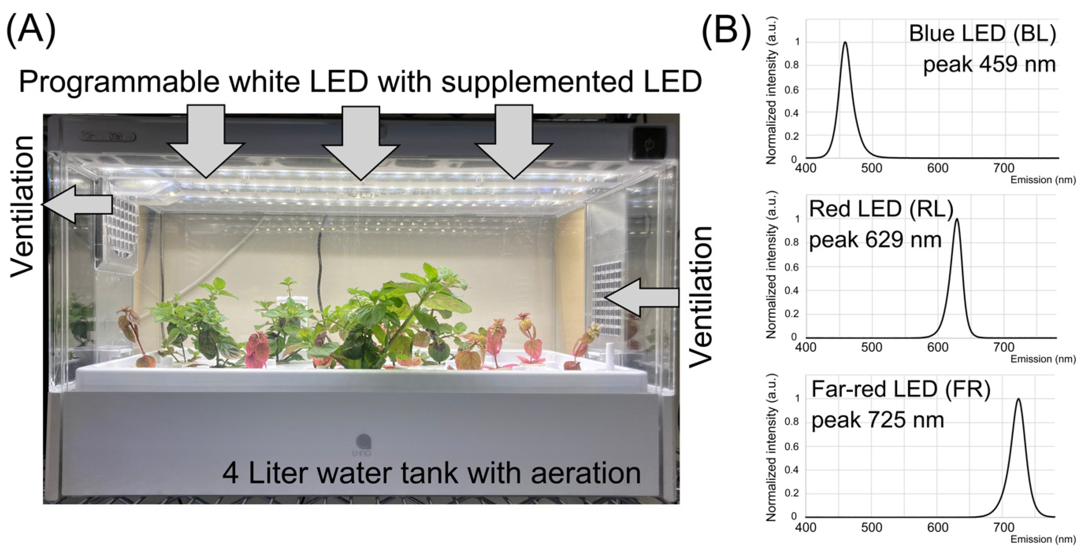 Plants 10 01420 g002