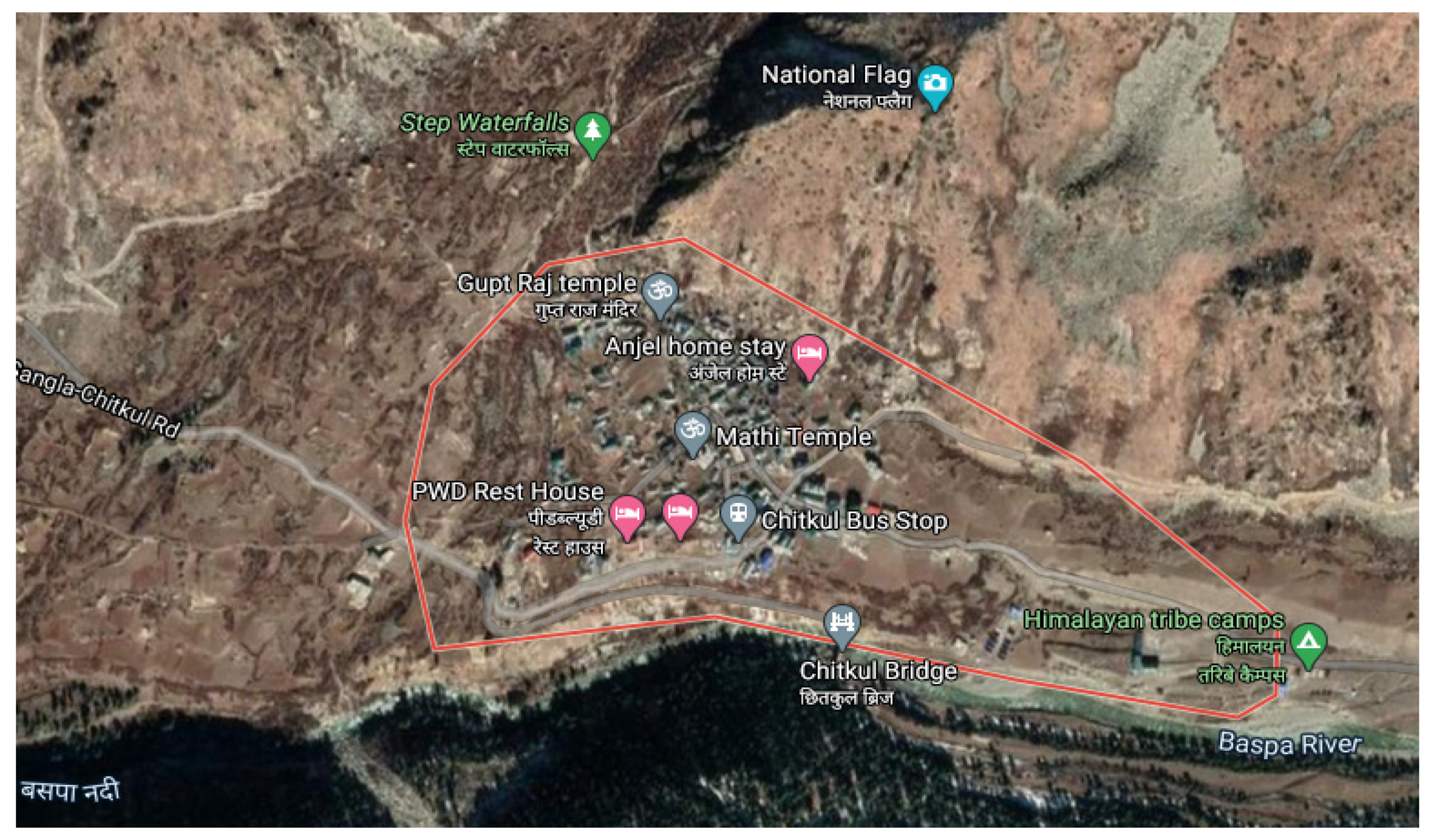 Plants 10 01429 g001