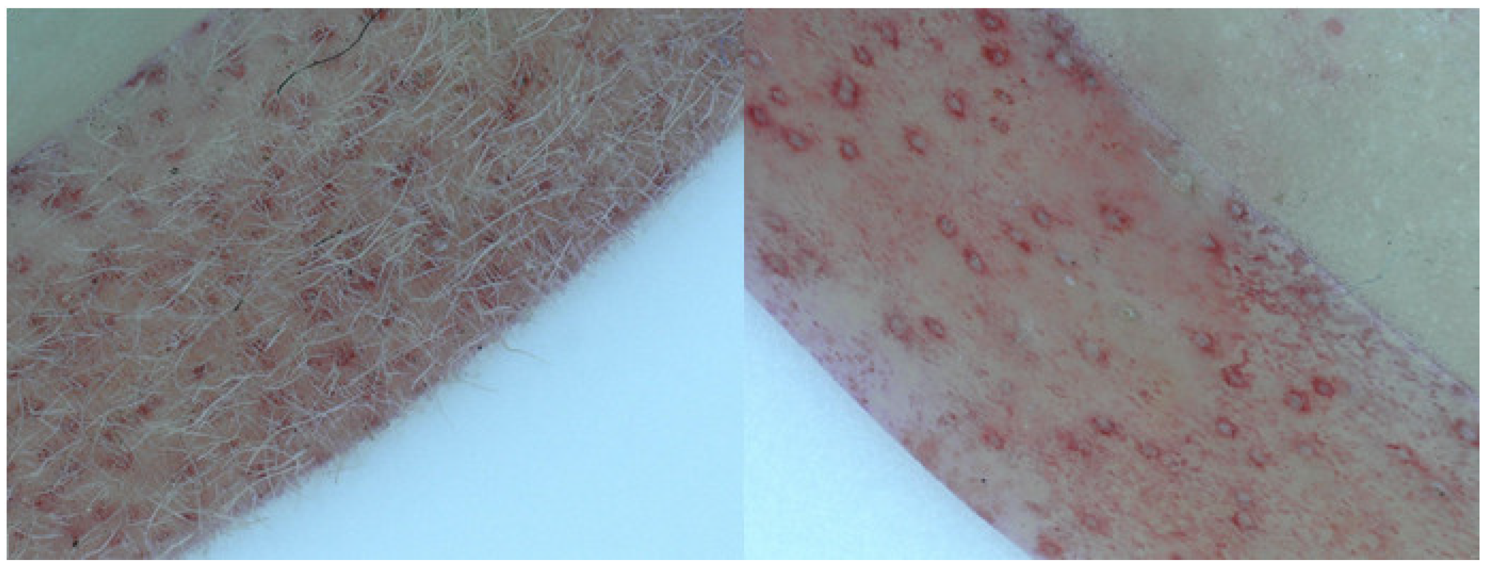 Plants 10 01433 g001 Plants 10 01433 g001